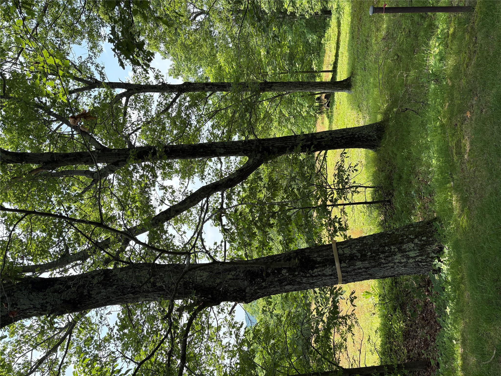 #10 photo, Willow Glen Road, Red Hook , NY 12571