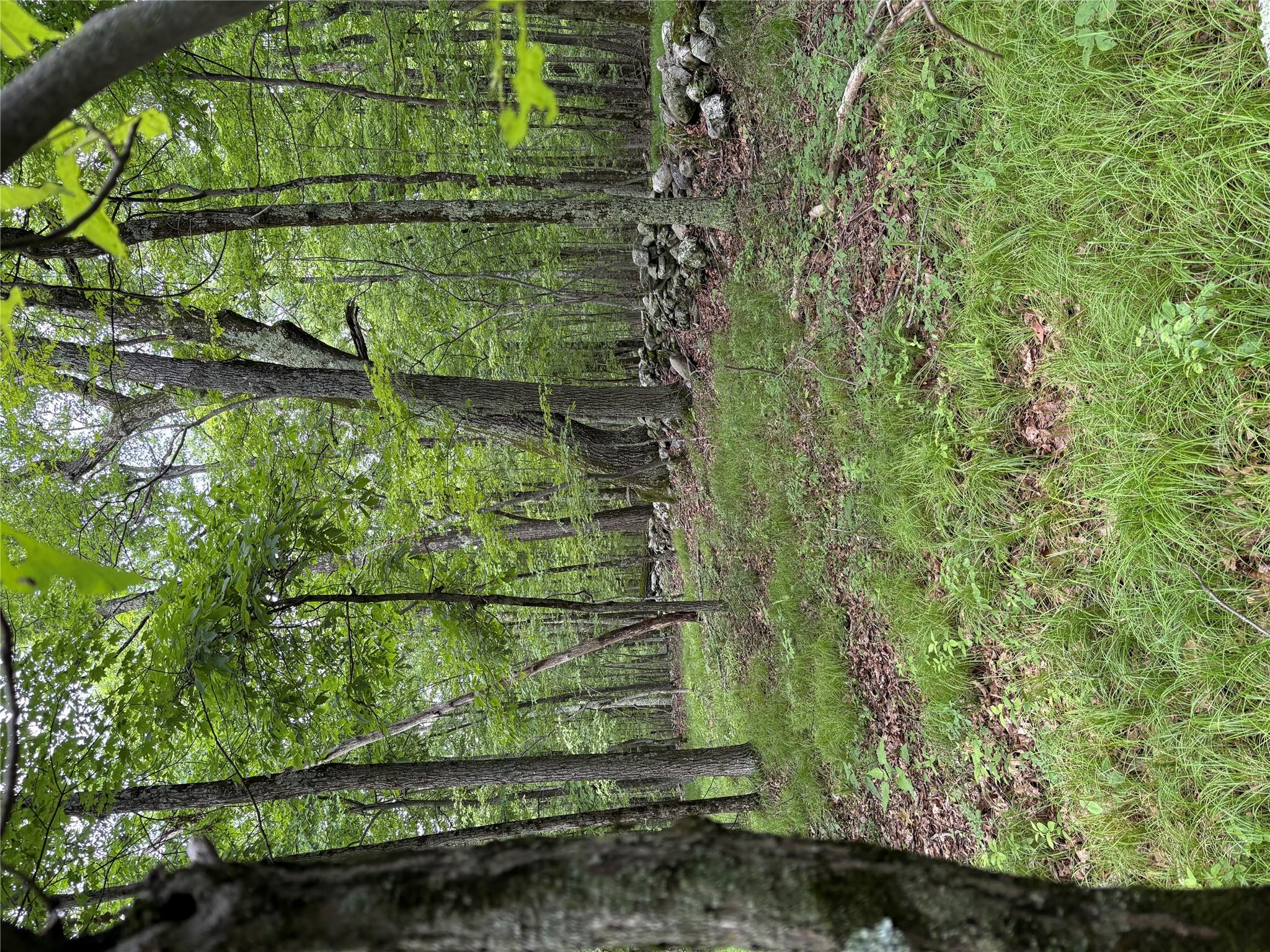 #8 photo, Willow Glen Road, Red Hook , NY 12571