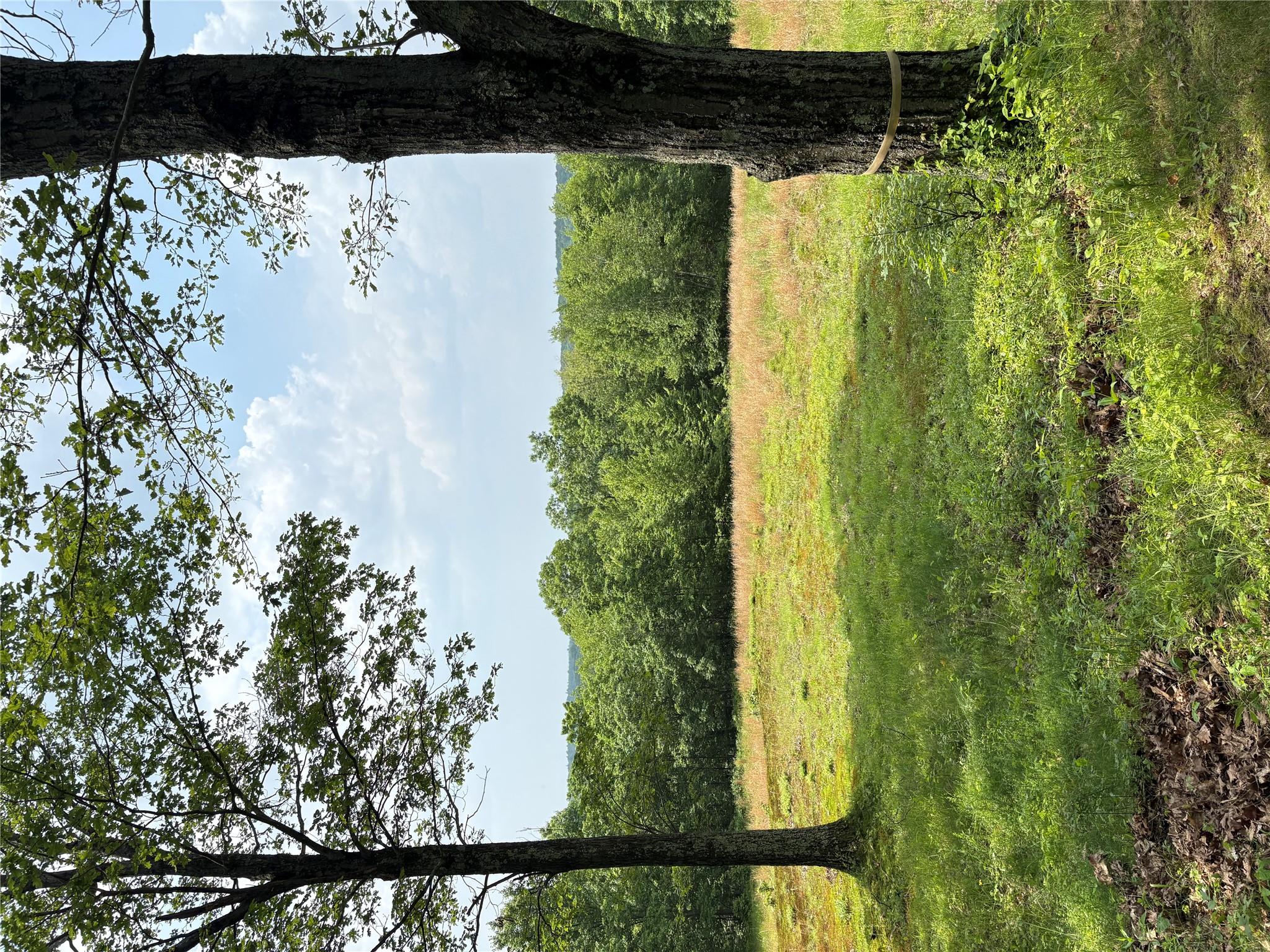 #9 photo, Willow Glen Road, Red Hook , NY 12571