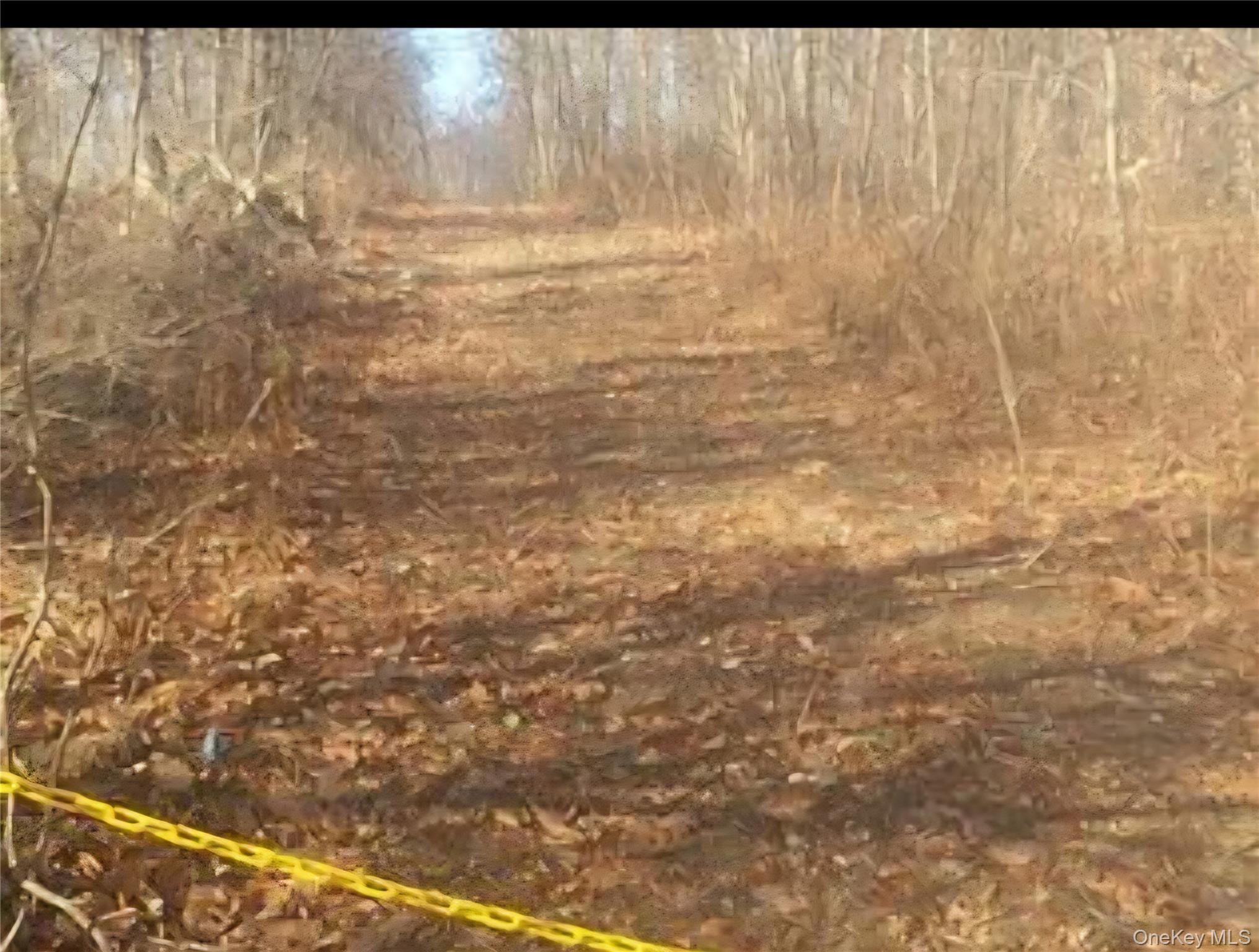 #10 photo, 224 Hickory Hill Lane, Newburgh , NY 12550