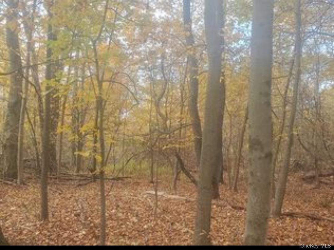 #11 photo, 224 Hickory Hill Lane, Newburgh , NY 12550