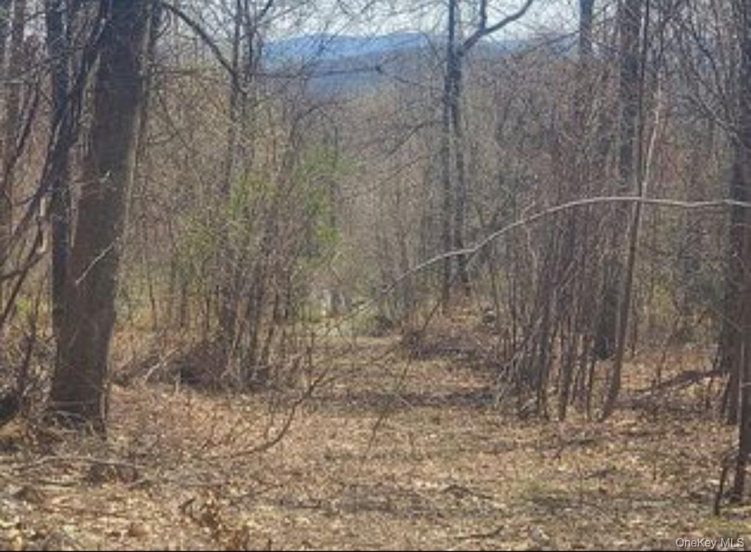 #2 photo, 224 Hickory Hill Lane, Newburgh , NY 12550