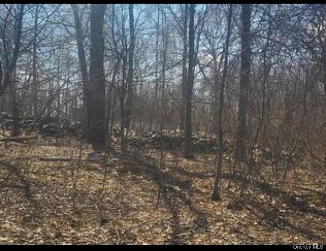 #3 photo, 224 Hickory Hill Lane, Newburgh , NY 12550