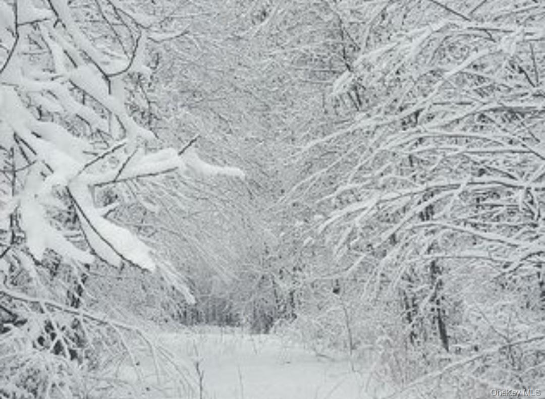 #4 photo, 224 Hickory Hill Lane, Newburgh , NY 12550