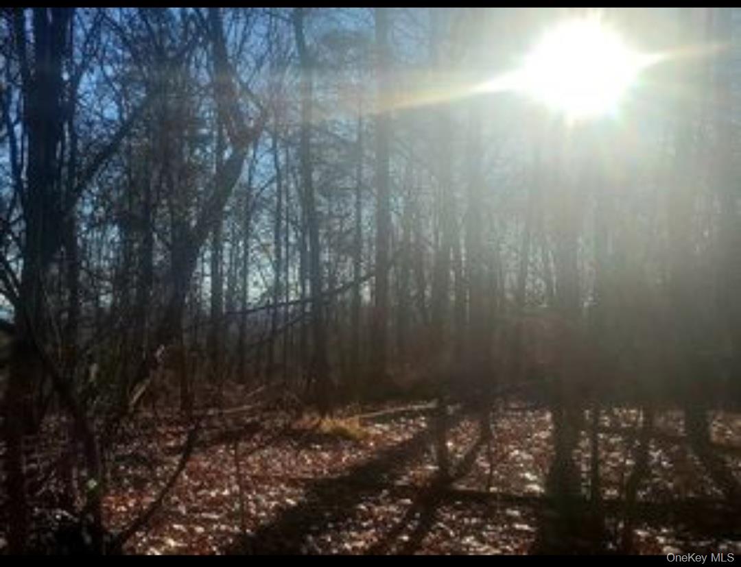 #5 photo, 224 Hickory Hill Lane, Newburgh , NY 12550