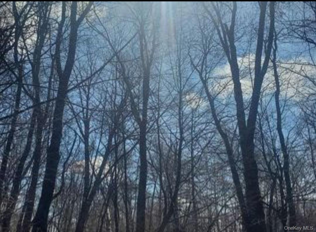 #7 photo, 224 Hickory Hill Lane, Newburgh , NY 12550