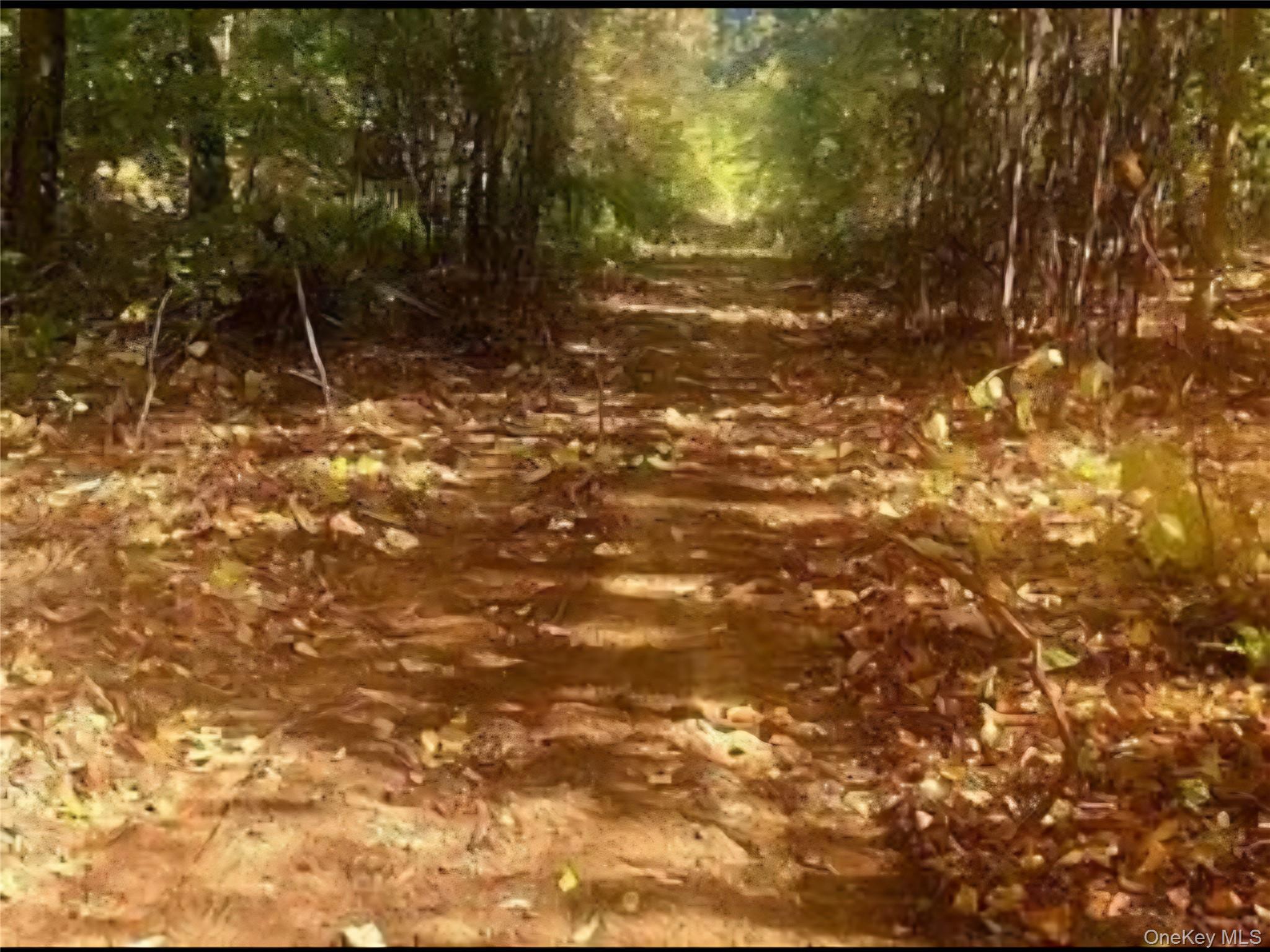 #8 photo, 224 Hickory Hill Lane, Newburgh , NY 12550