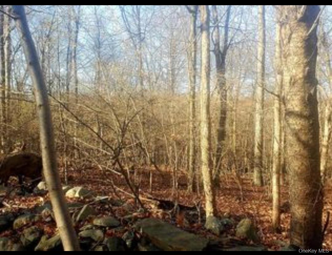 #9 photo, 224 Hickory Hill Lane, Newburgh , NY 12550