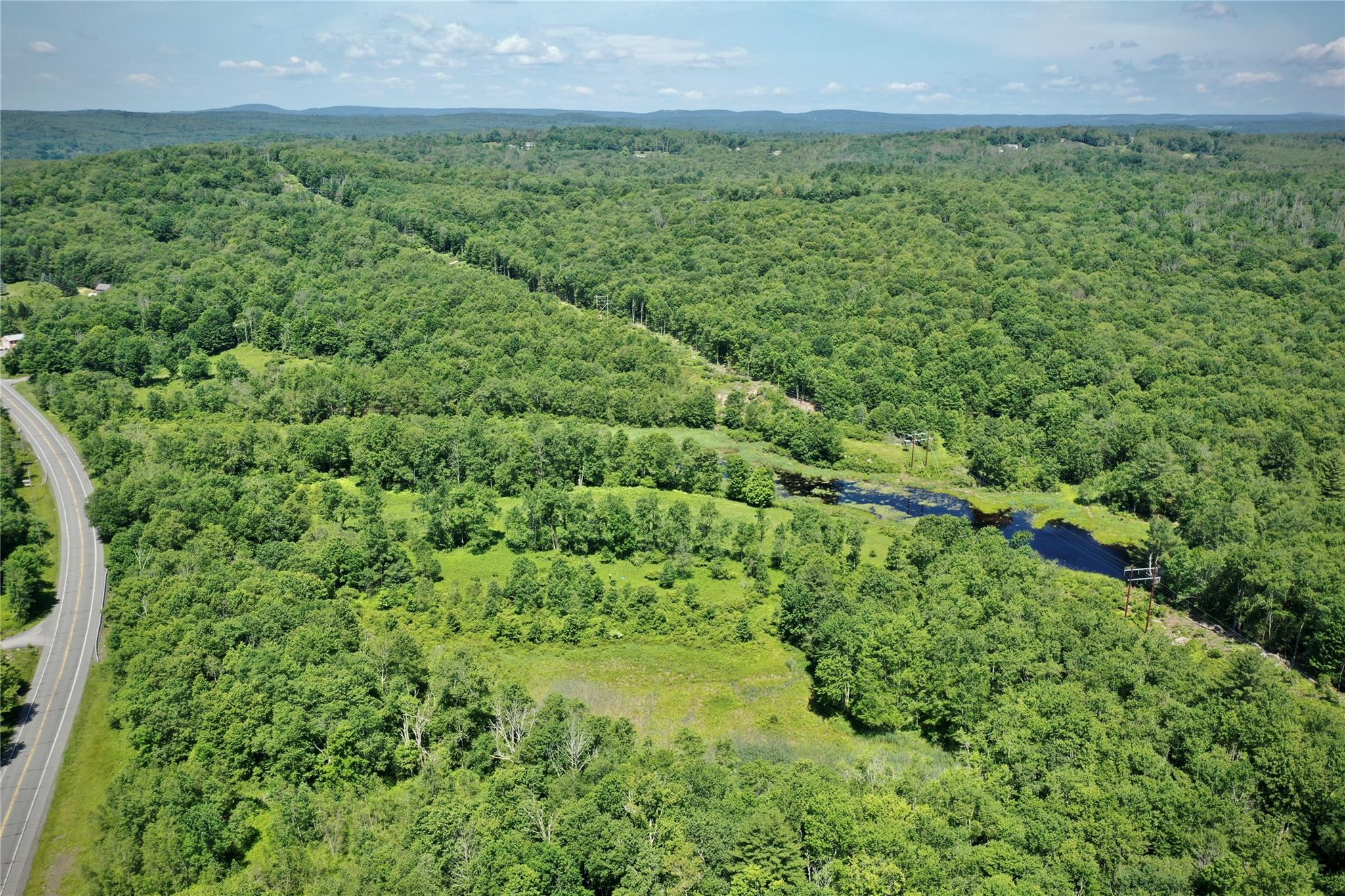 #11 photo, Rt. 52, 紐約州 Ellenville , NY 12489