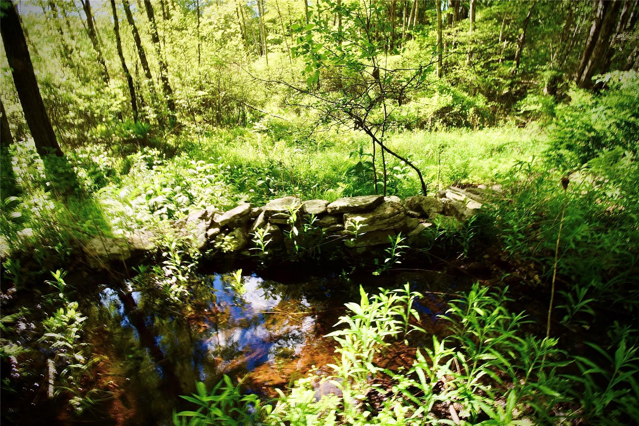 #12 photo, Rt. 52, 紐約州 Ellenville , NY 12489