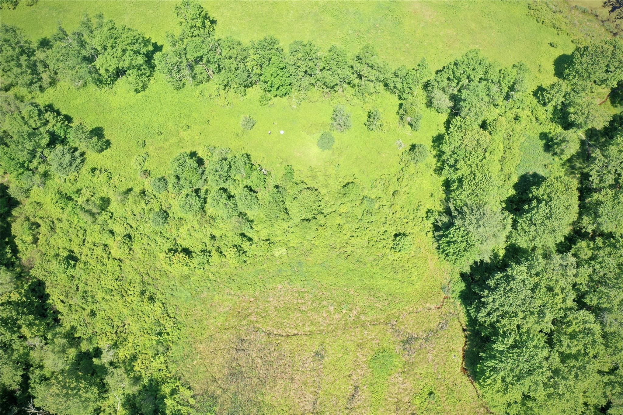 #14 photo, Rt. 52, 紐約州 Ellenville , NY 12489