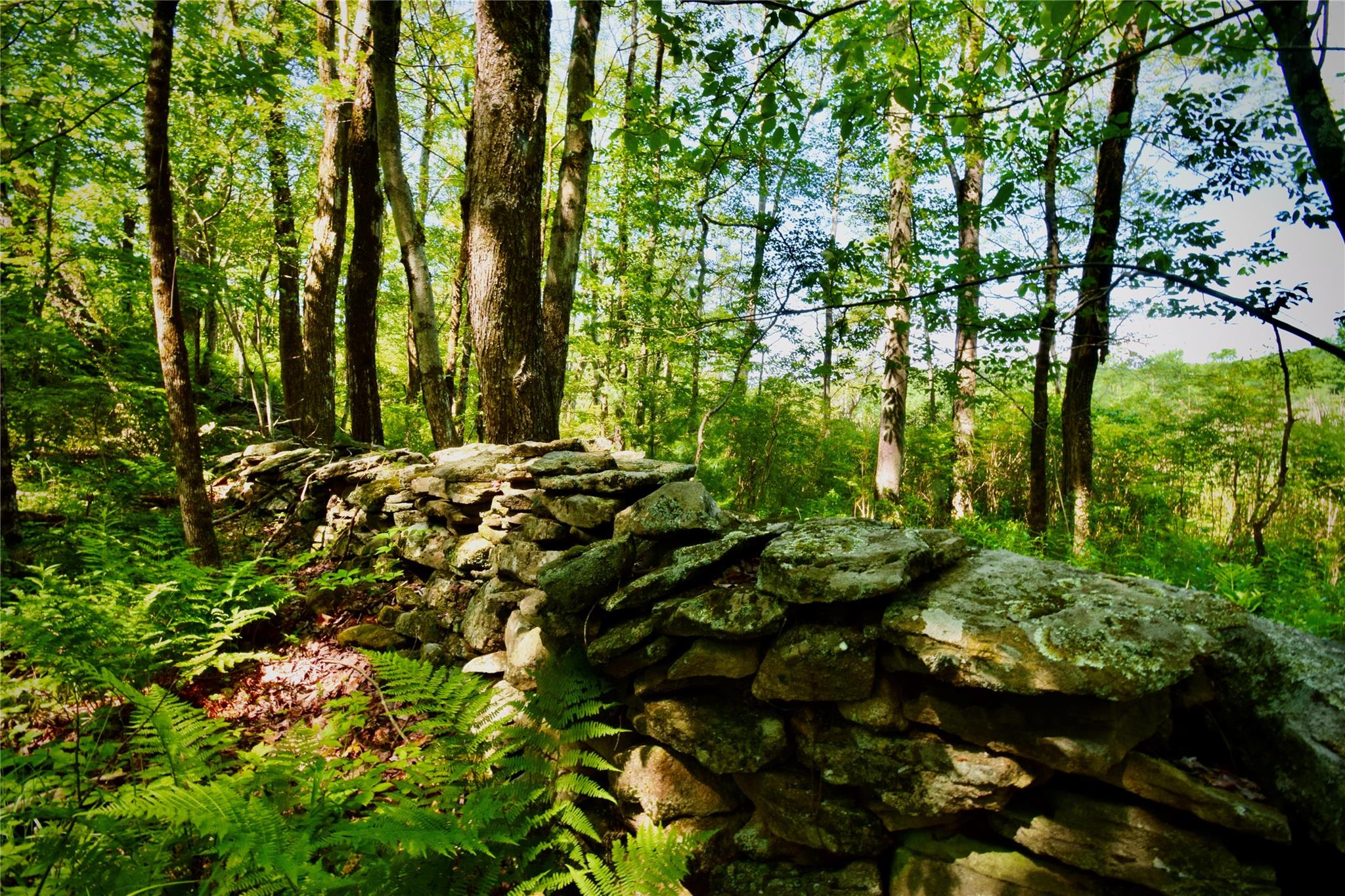 #15 photo, Rt. 52, 紐約州 Ellenville , NY 12489