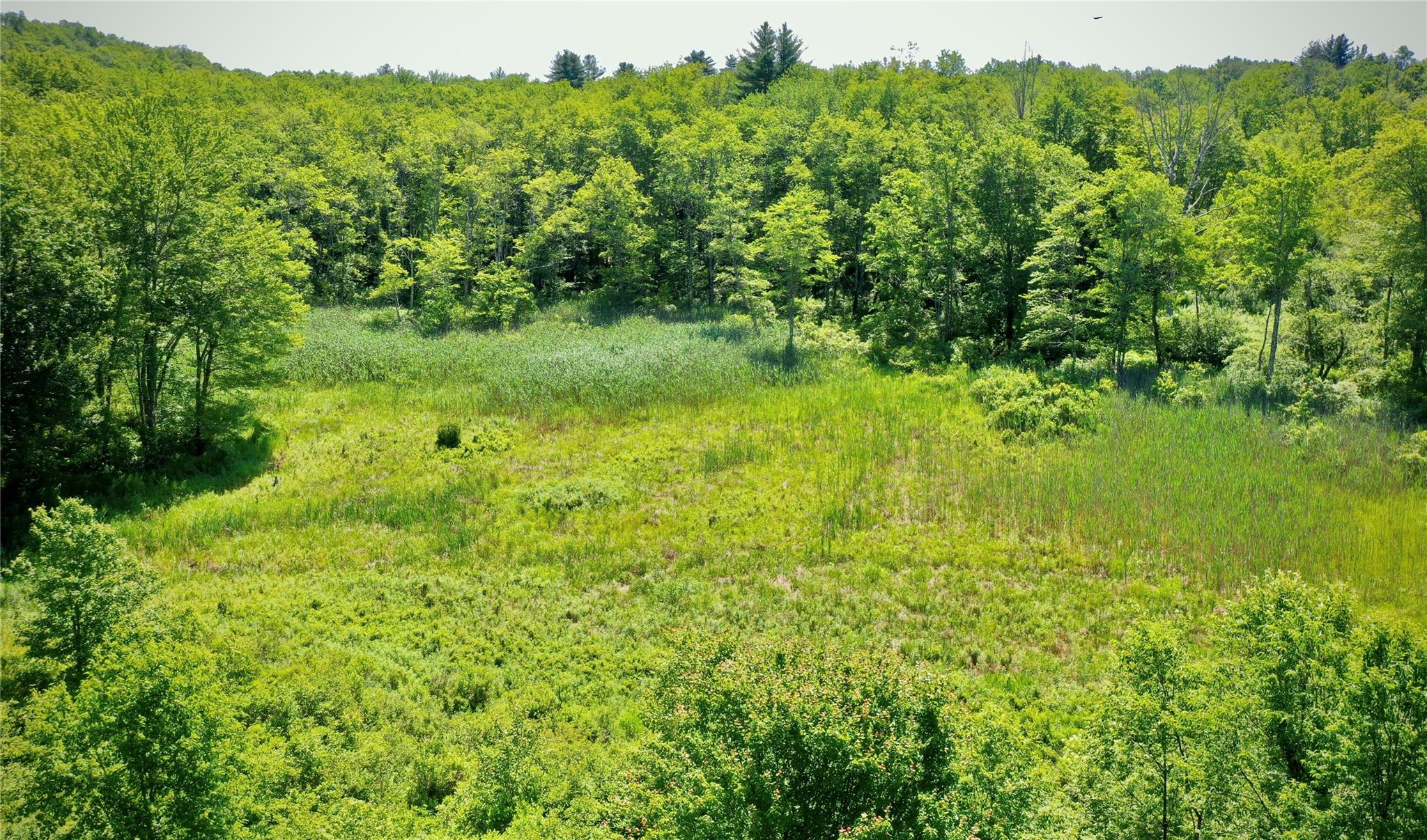 #16 photo, Rt. 52, 紐約州 Ellenville , NY 12489