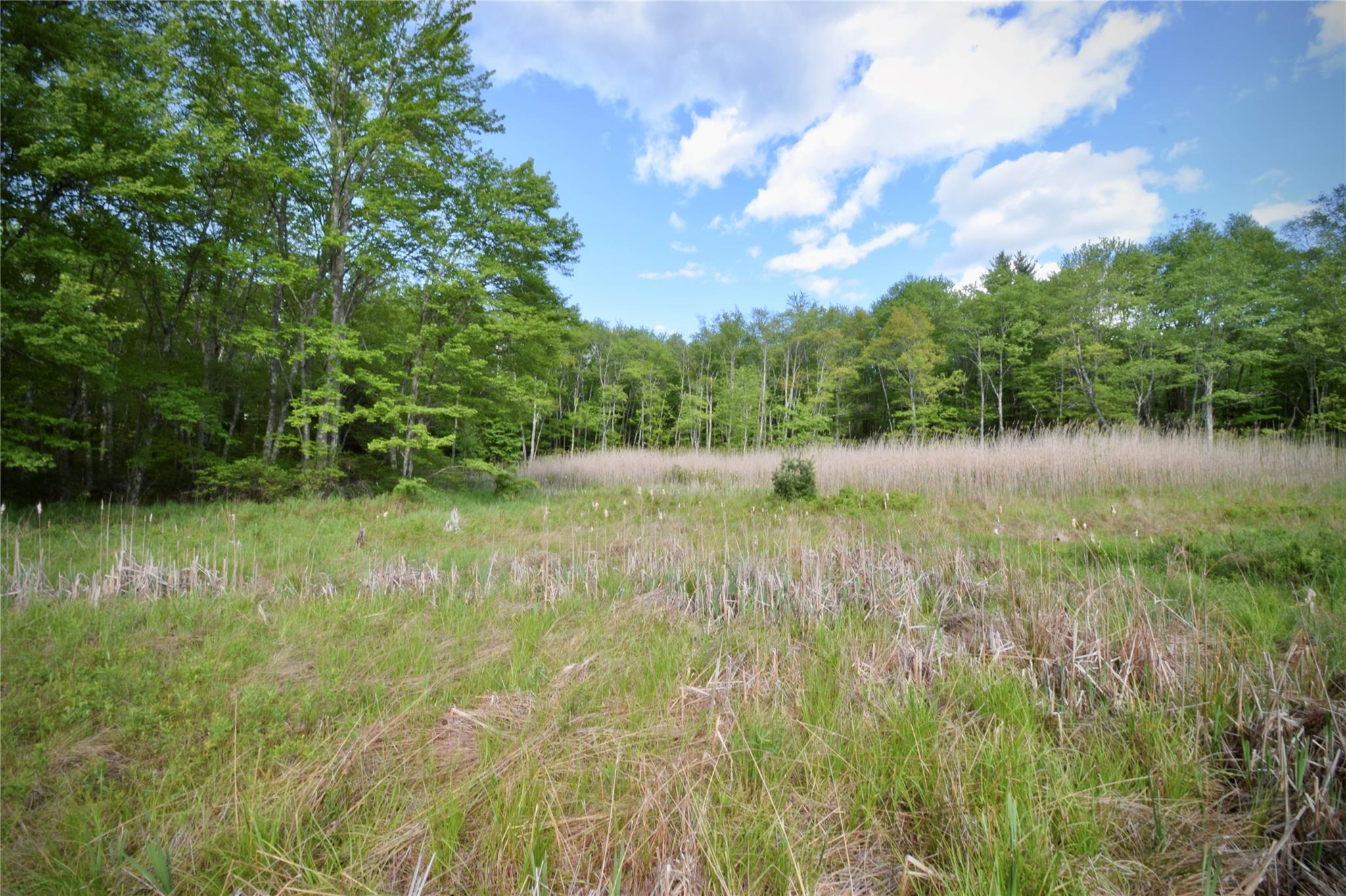 #18 photo, Rt. 52, 紐約州 Ellenville , NY 12489