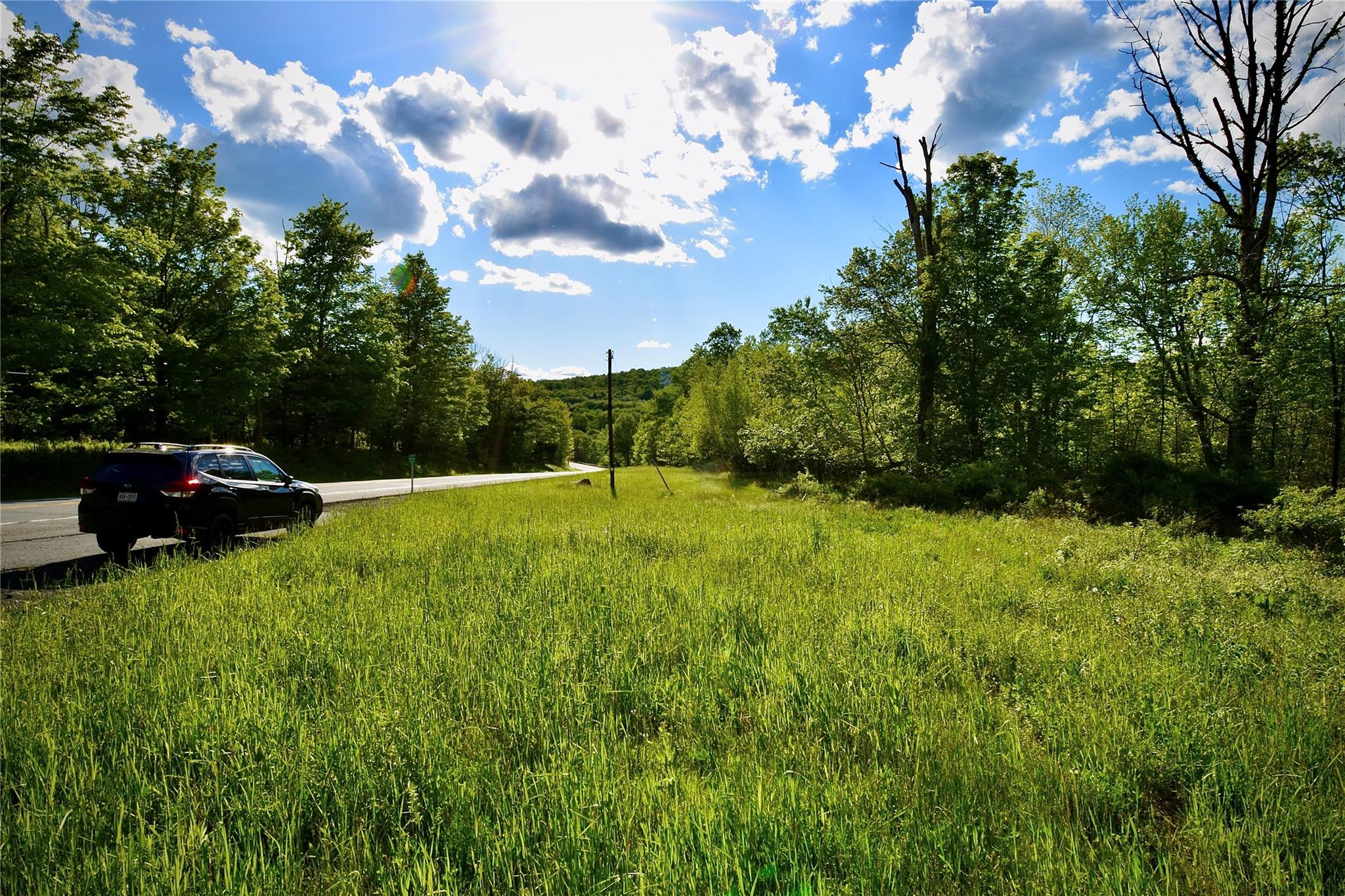 #19 photo, Rt. 52, 紐約州 Ellenville , NY 12489