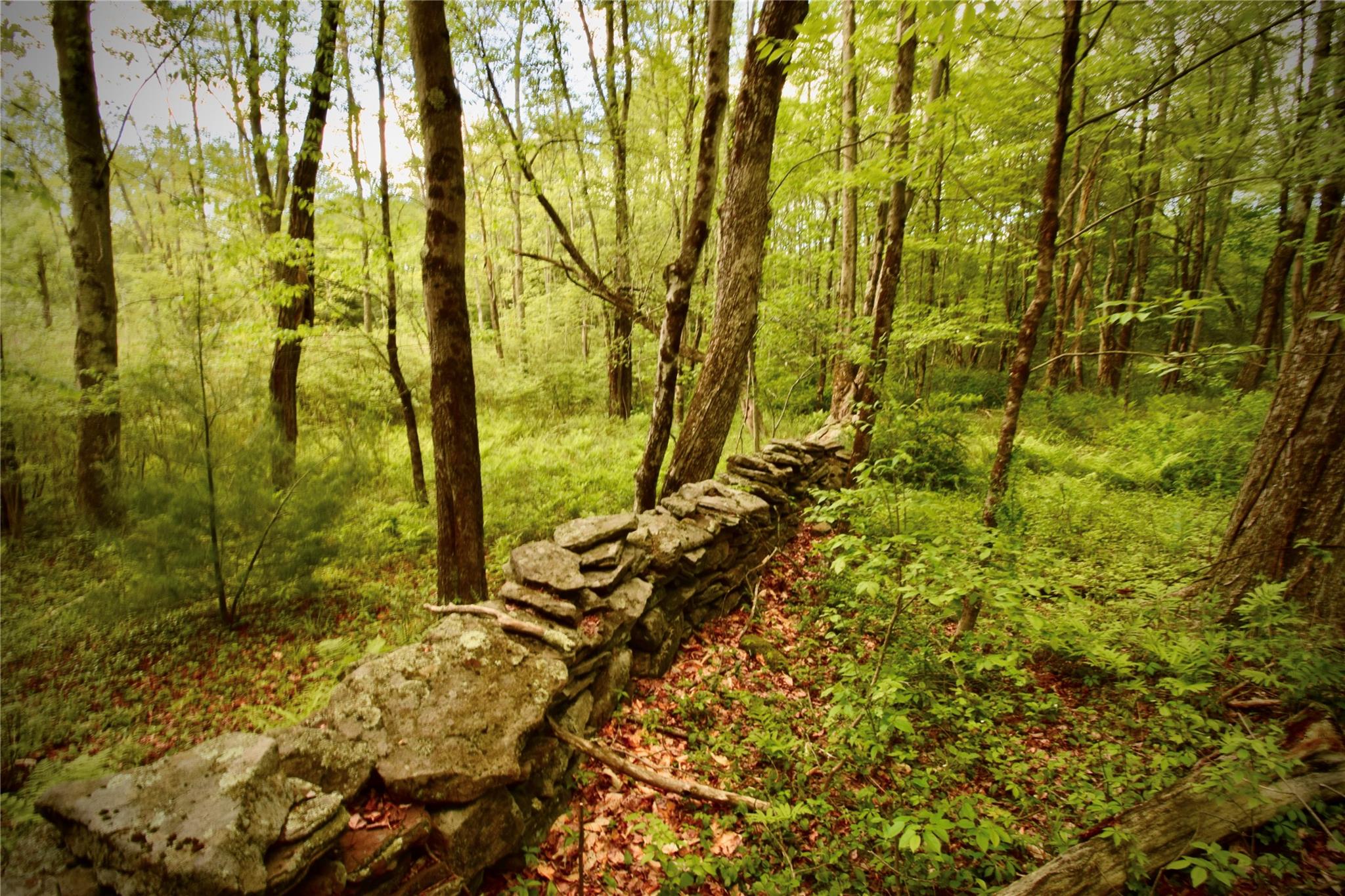 #2 photo, Rt. 52, 紐約州 Ellenville , NY 12489