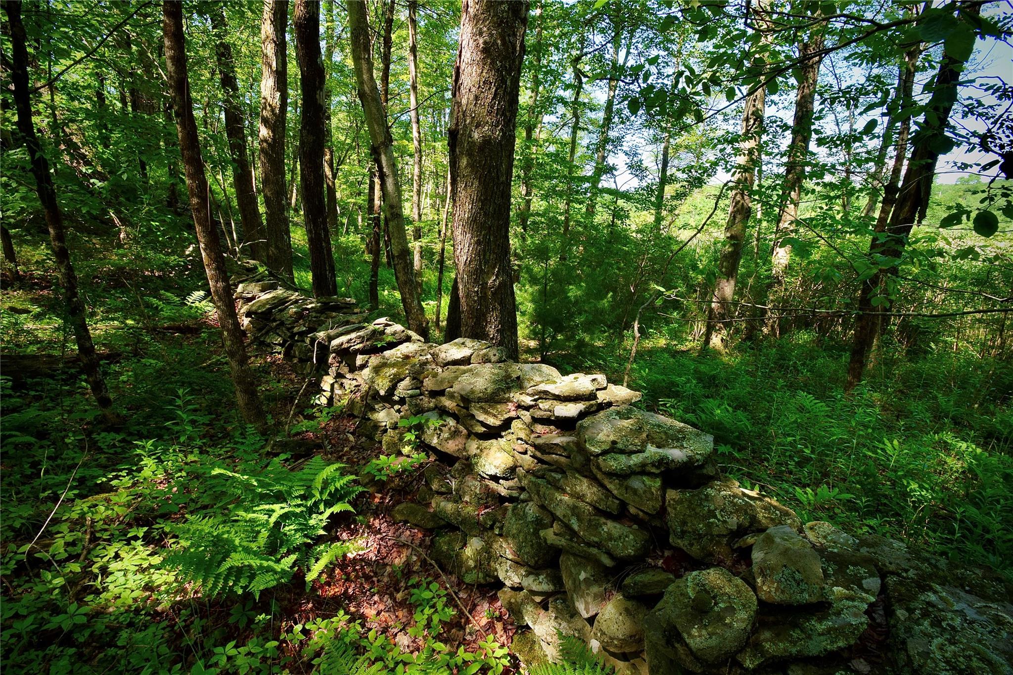 #20 photo, Rt. 52, 紐約州 Ellenville , NY 12489