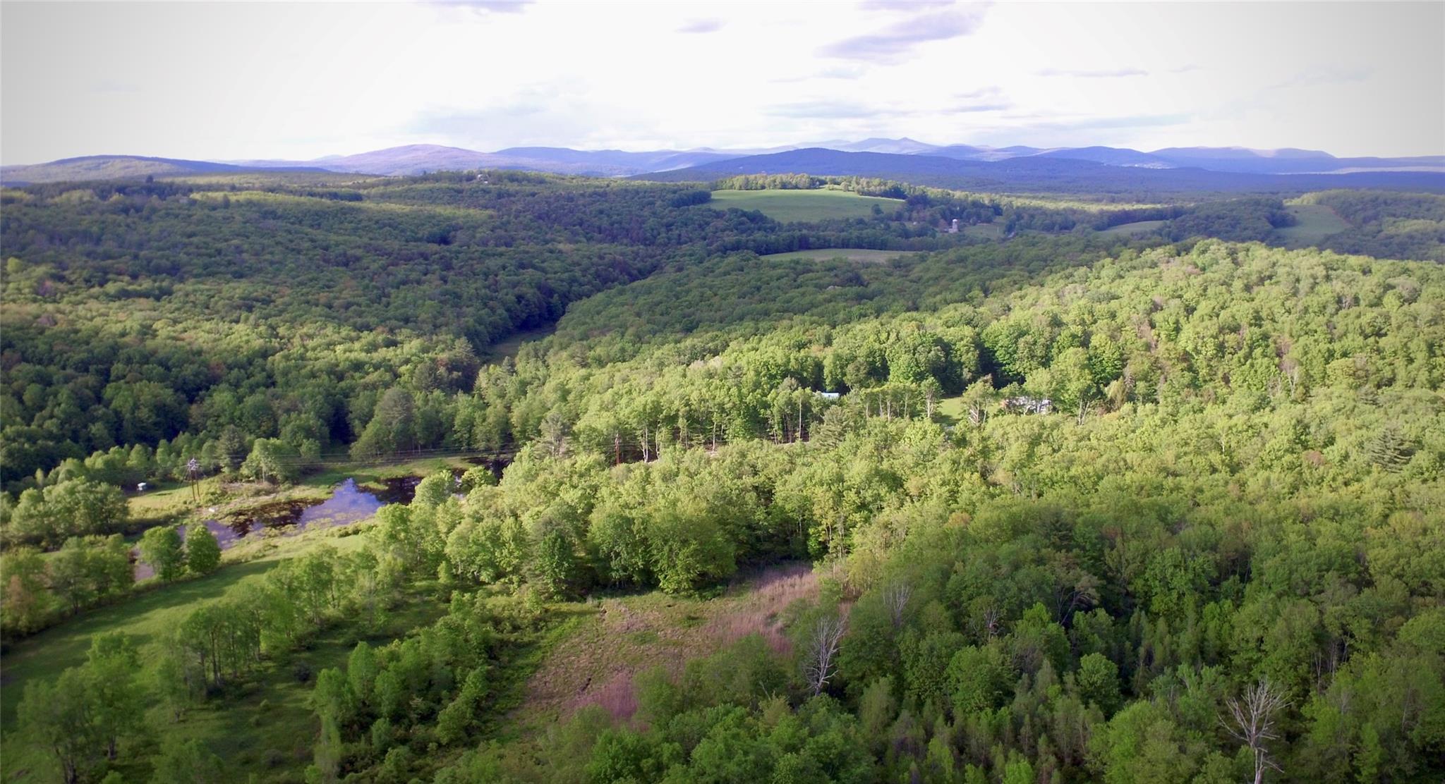 #3 photo, Rt. 52, 紐約州 Ellenville , NY 12489