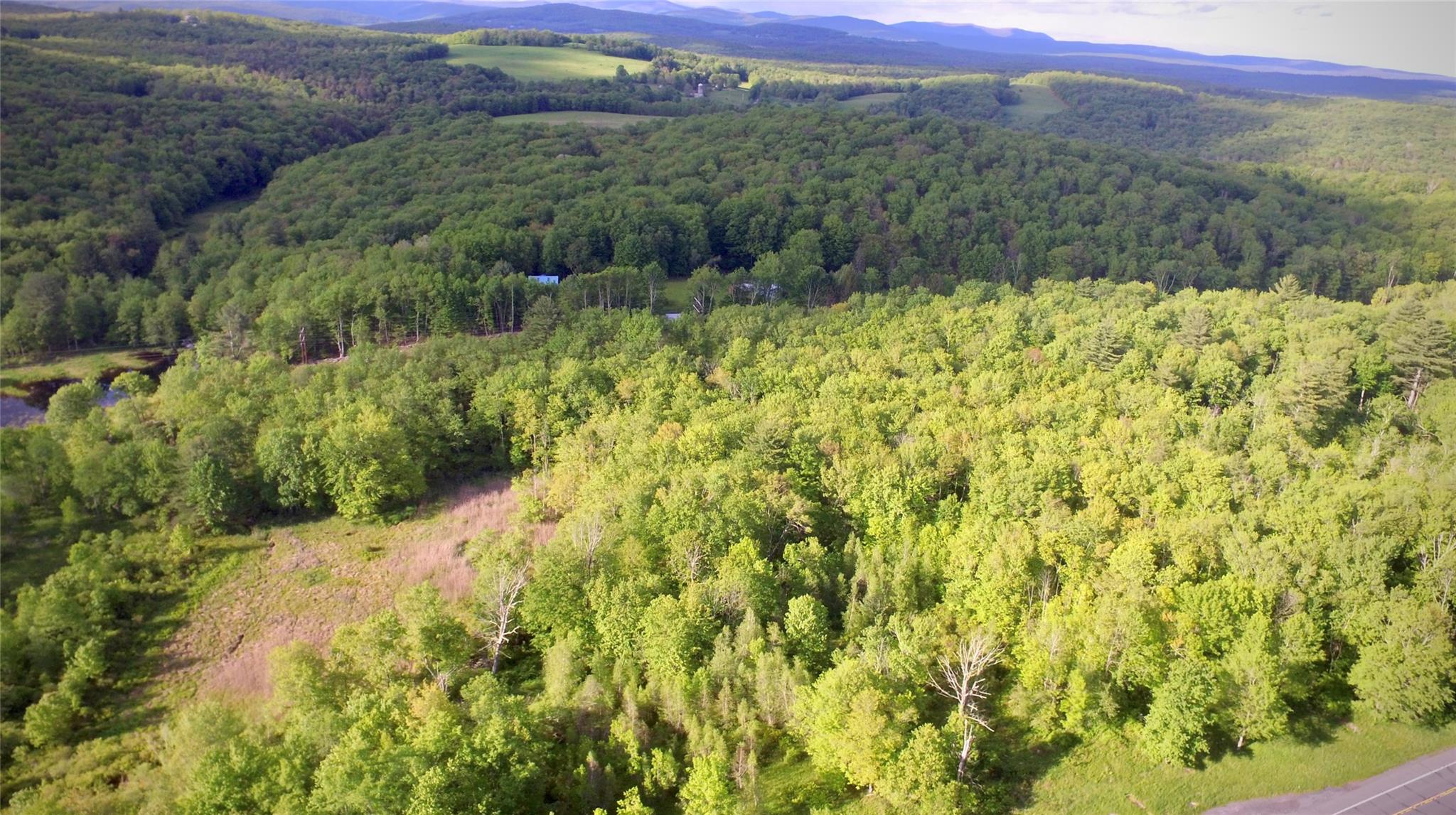 #5 photo, Rt. 52, 紐約州 Ellenville , NY 12489