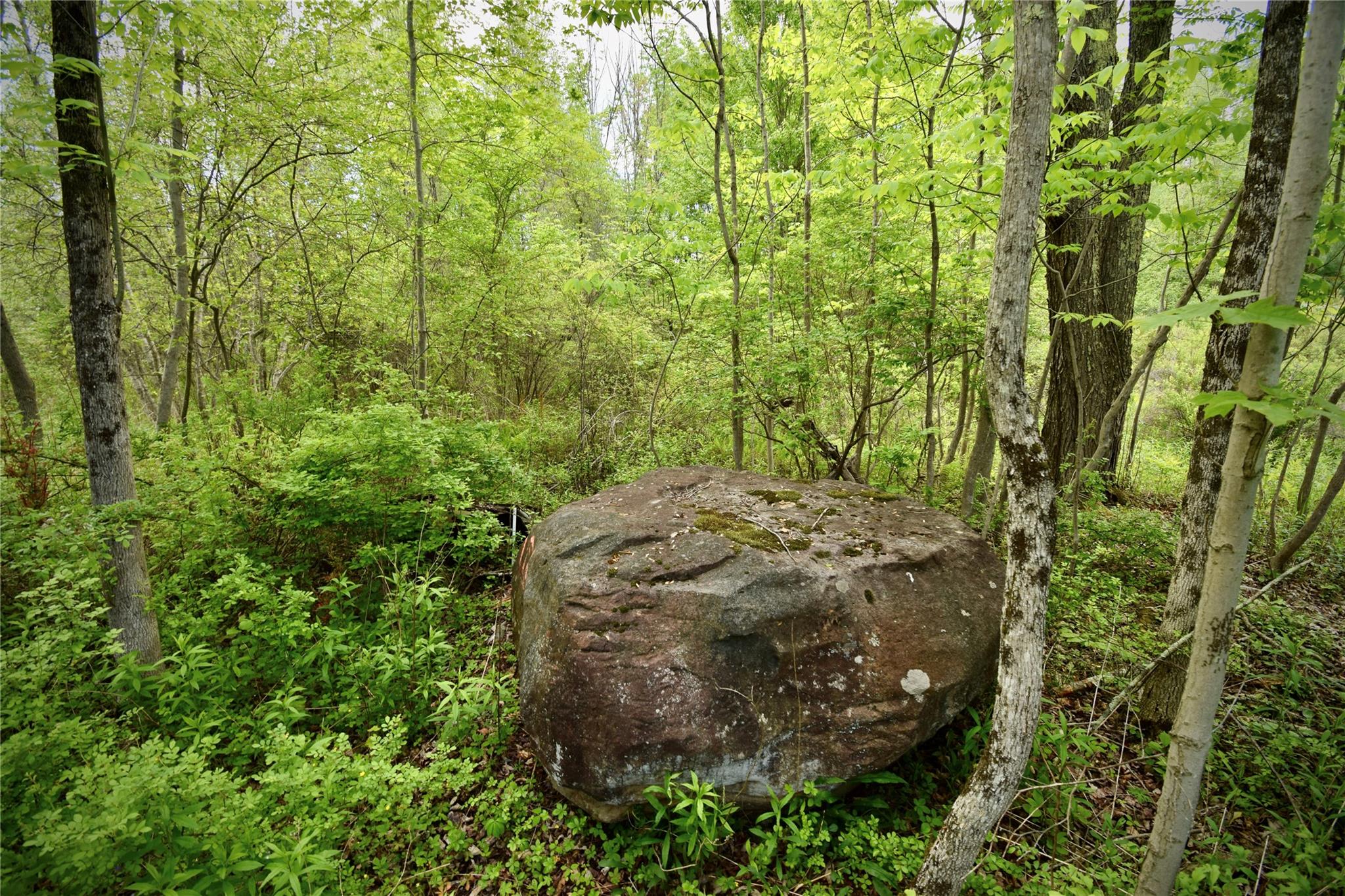 #6 photo, Rt. 52, 紐約州 Ellenville , NY 12489