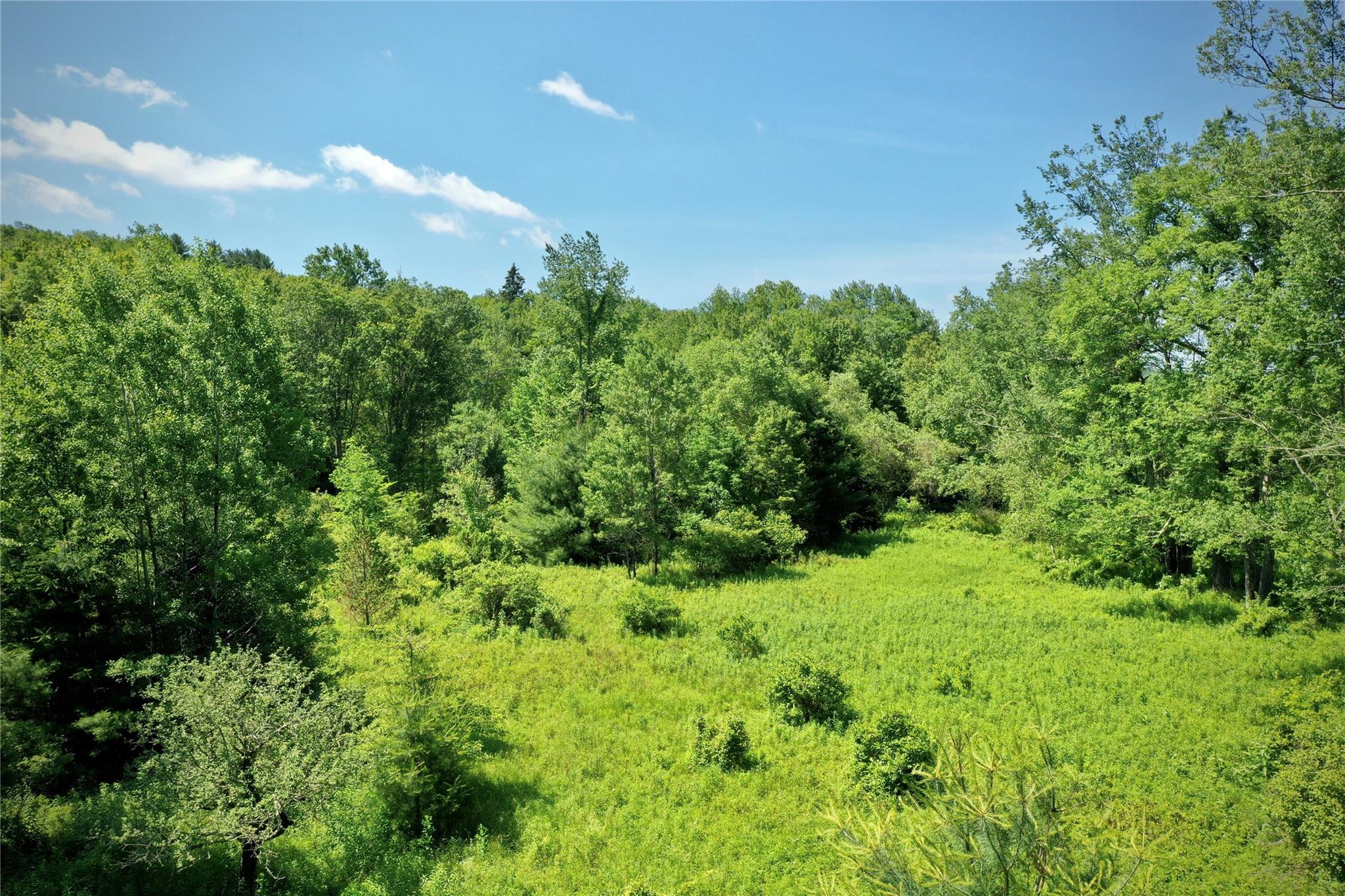 #7 photo, Rt. 52, 紐約州 Ellenville , NY 12489