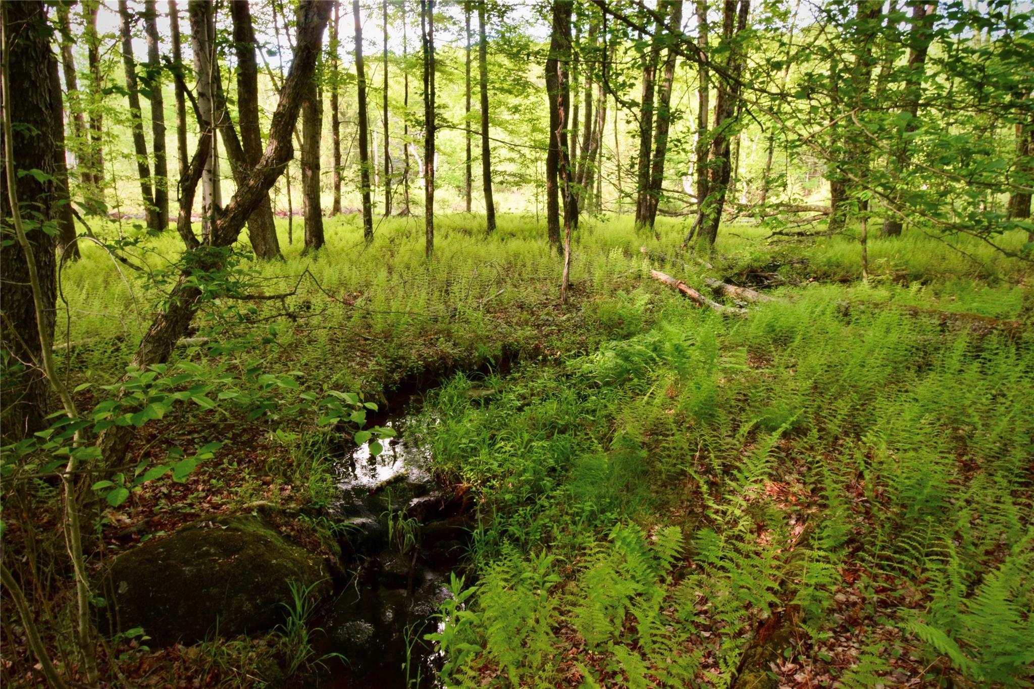 #8 photo, Rt. 52, 紐約州 Ellenville , NY 12489