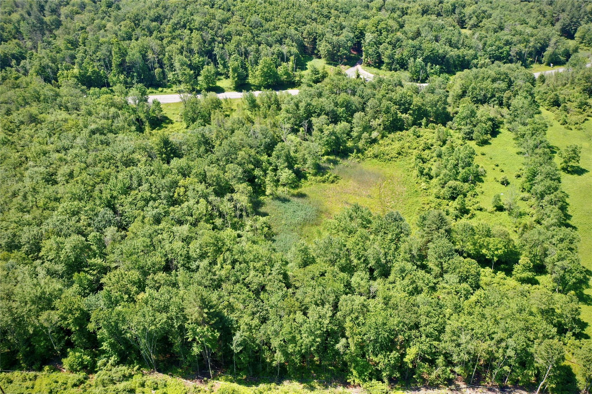 #9 photo, Rt. 52, 紐約州 Ellenville , NY 12489