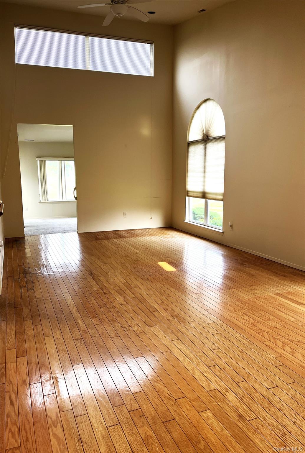 #11 photo, 701 Spring Lake, サフォーク郡 Middle Island , NY 11953