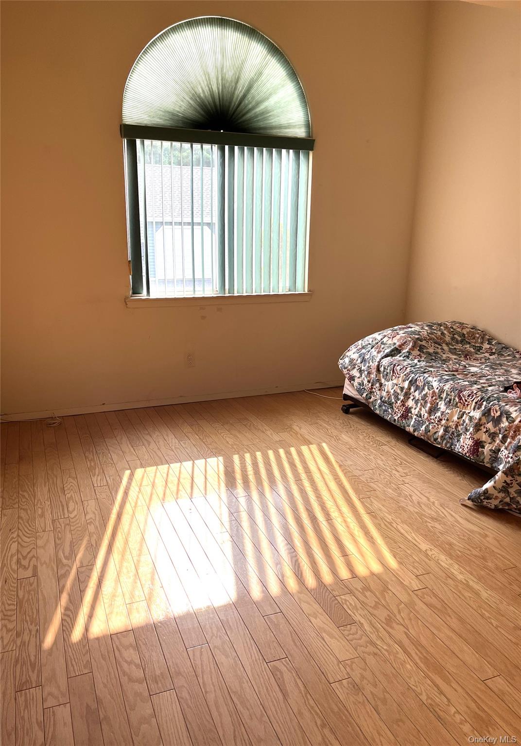 #9 photo, 701 Spring Lake, サフォーク郡 Middle Island , NY 11953