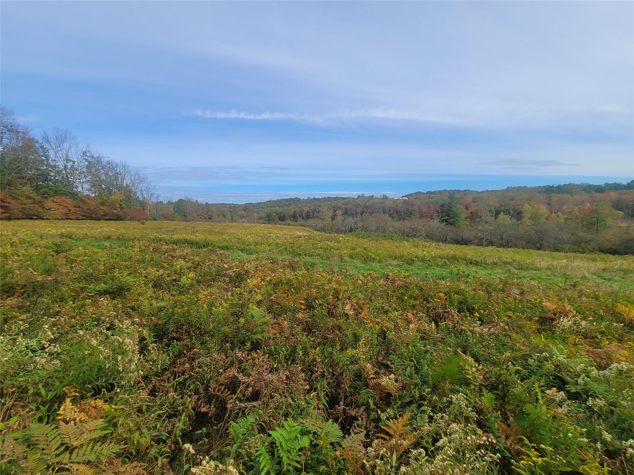 #1 photo, Mongaup Road, Hurleyville , NY 12747