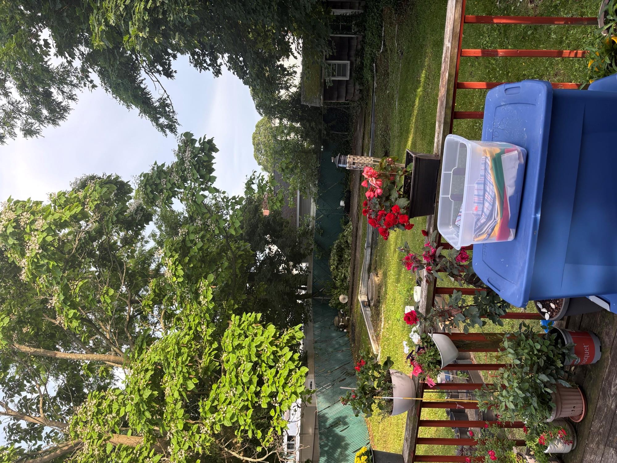 #19 photo, 40 Samuel Street, サフォーク郡 Ronkonkoma , NY 11779