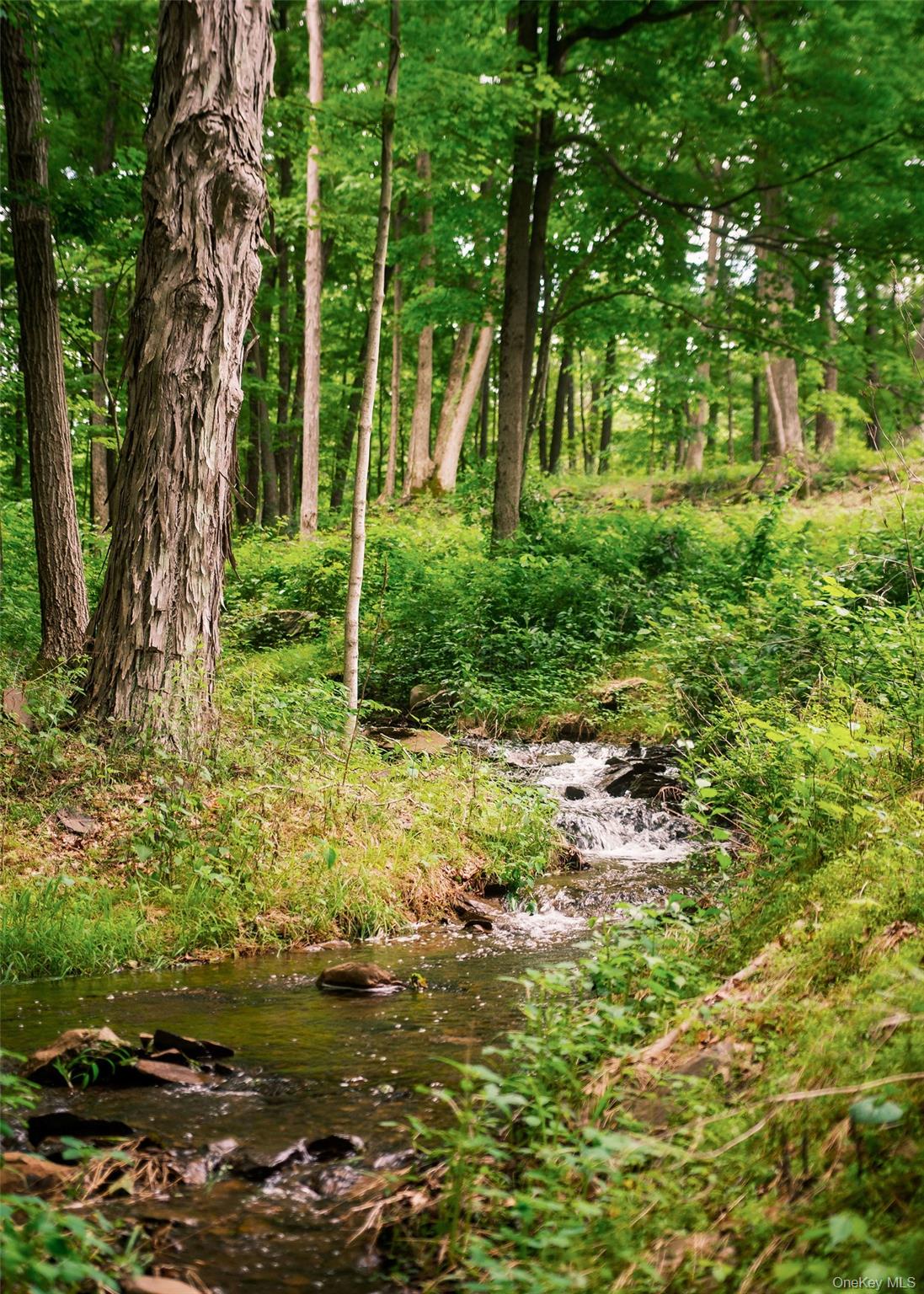 #1 photo, 141 Ackert Hook Road, Rhinebeck , NY 12572