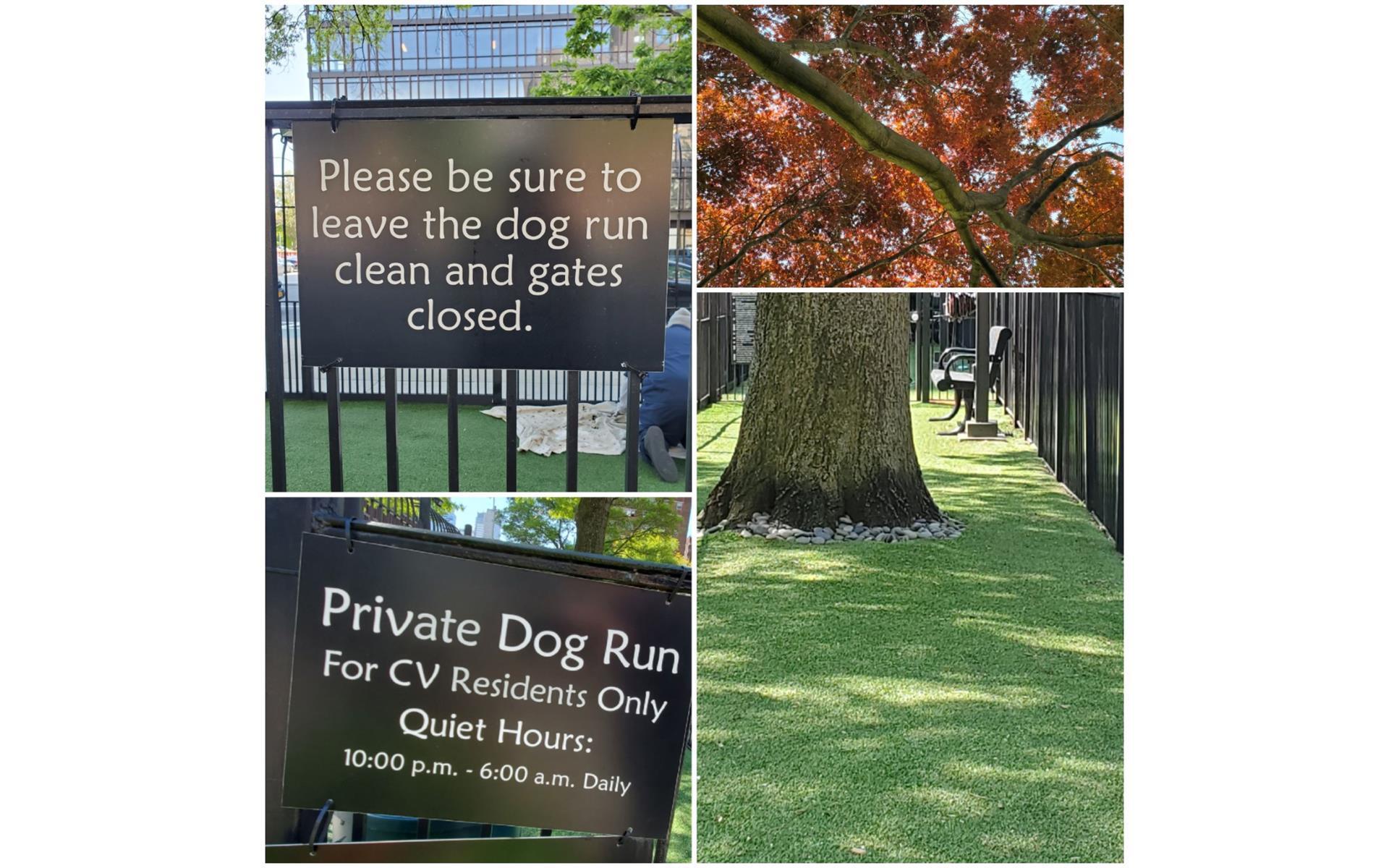 #11 photo, 270 JAY Street, ブルックリン区 Downtown Brooklyn , NY 11201