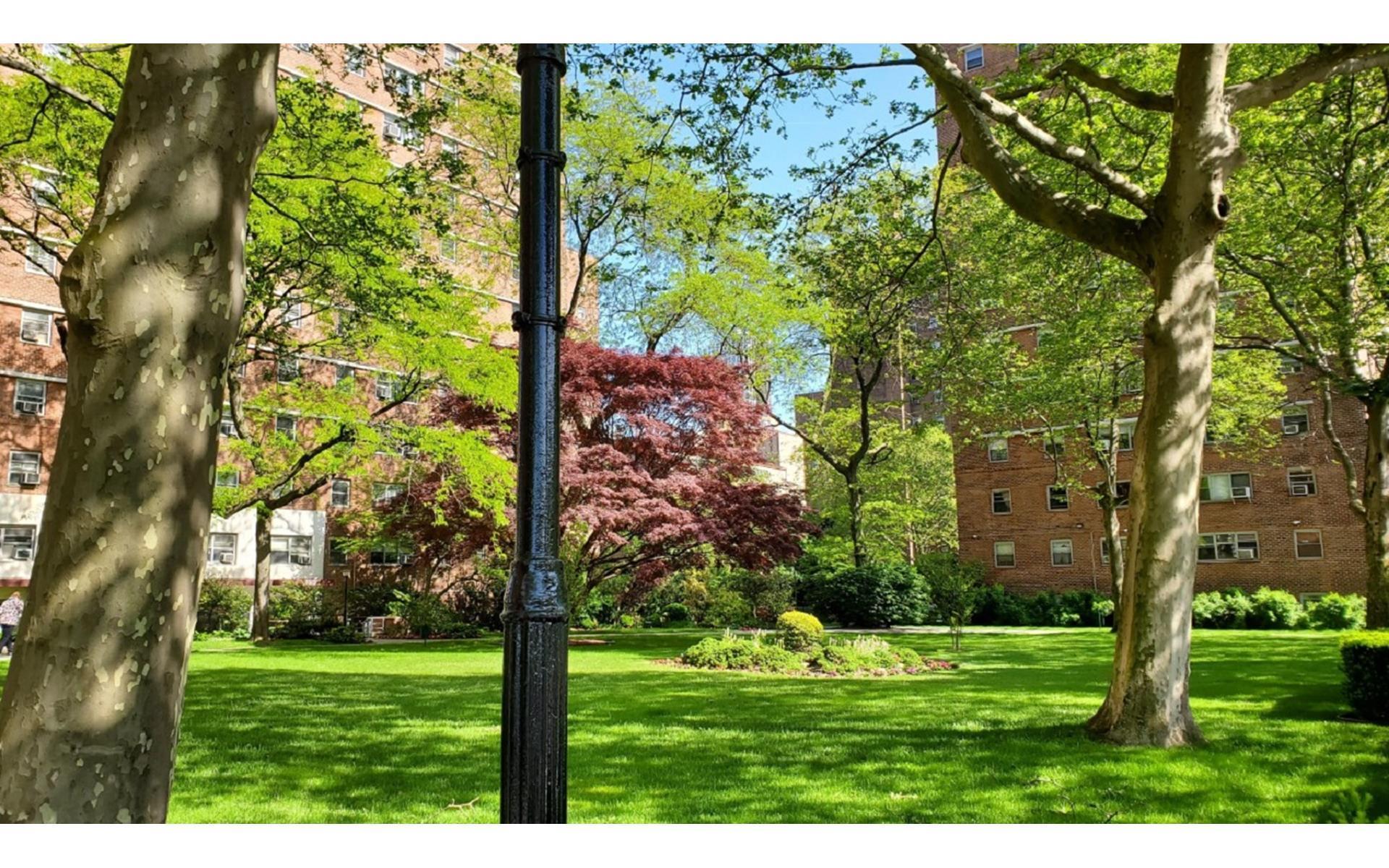 #13 photo, 270 JAY Street, ブルックリン区 Downtown Brooklyn , NY 11201