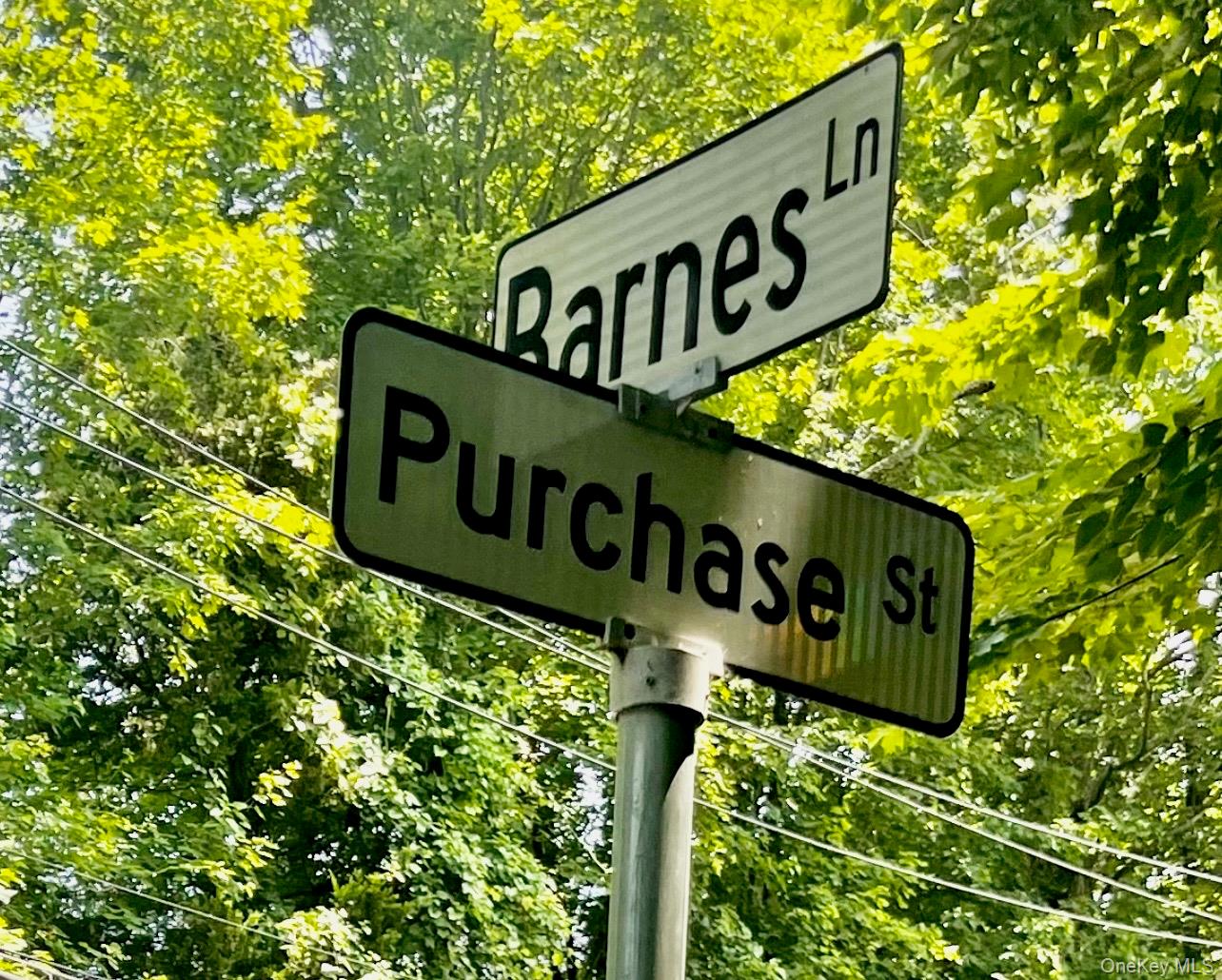 #2 photo, Barnes Lane, Purchase , NY 10577
