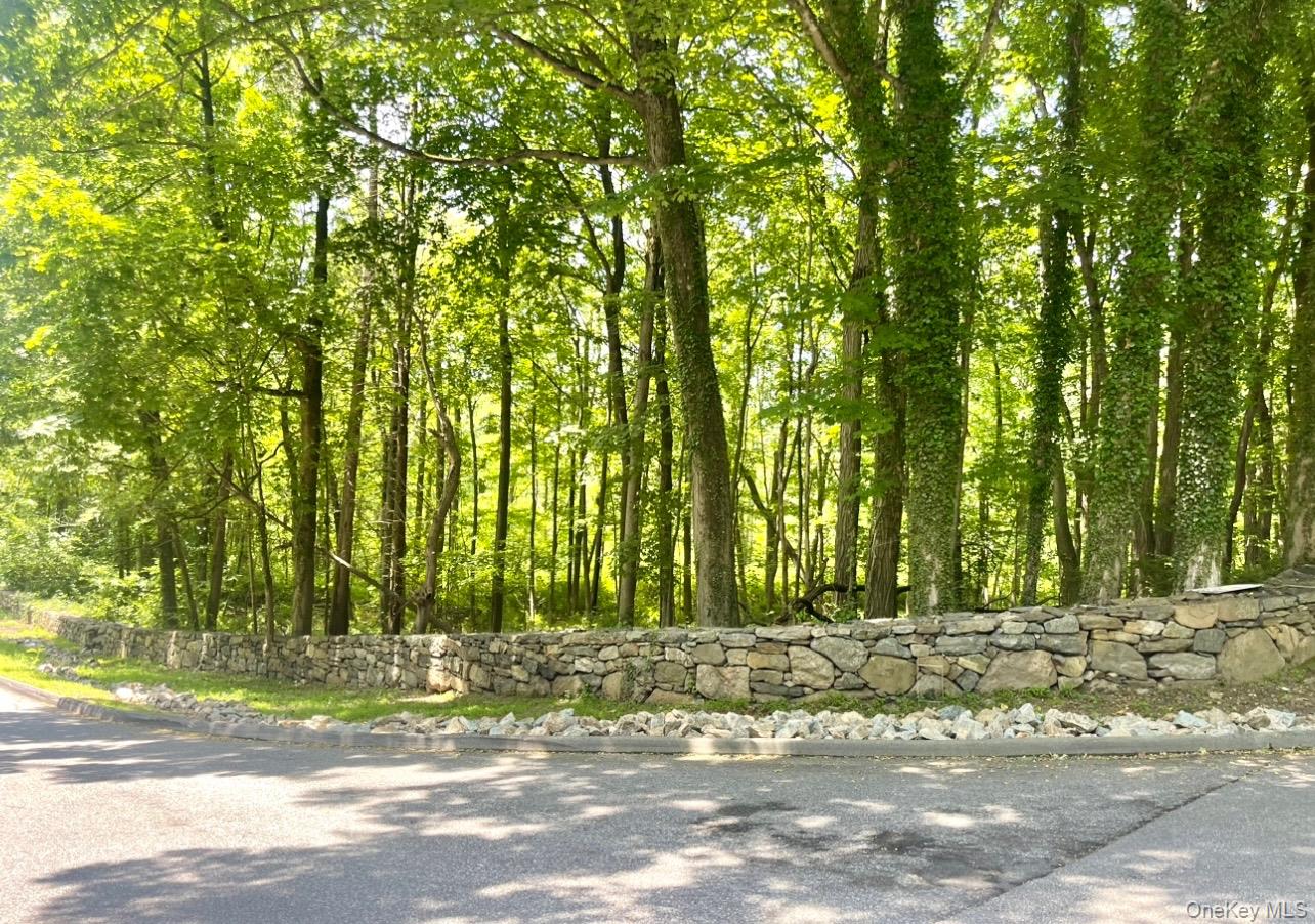 #5 photo, Barnes Lane, Purchase , NY 10577