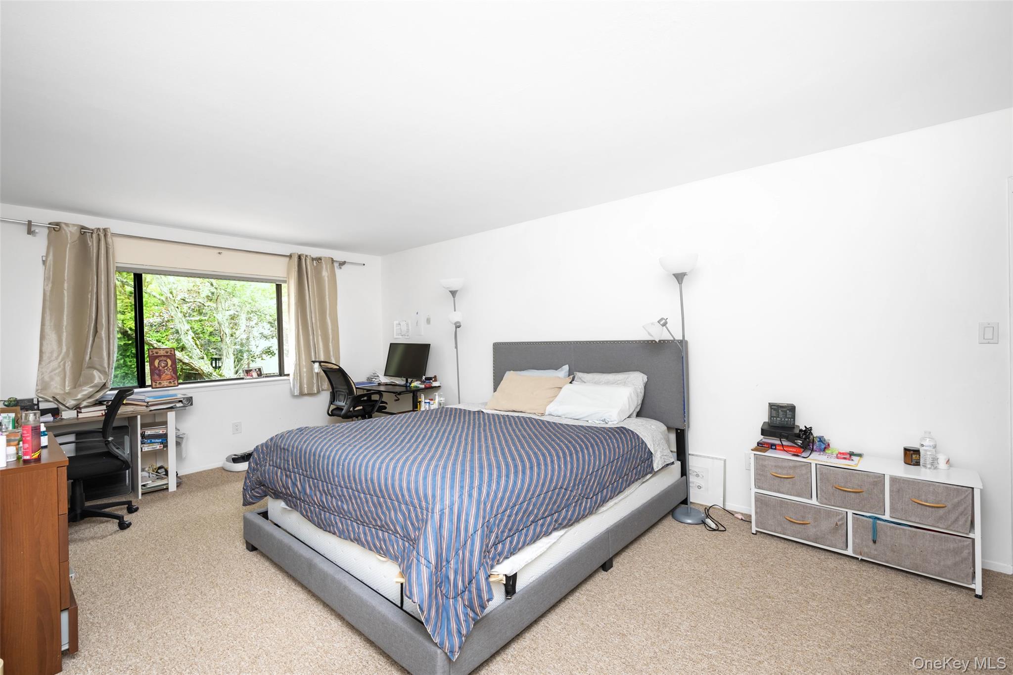 #15 photo, 41 Carriage Court, ナッソー郡 Jericho , NY 11753