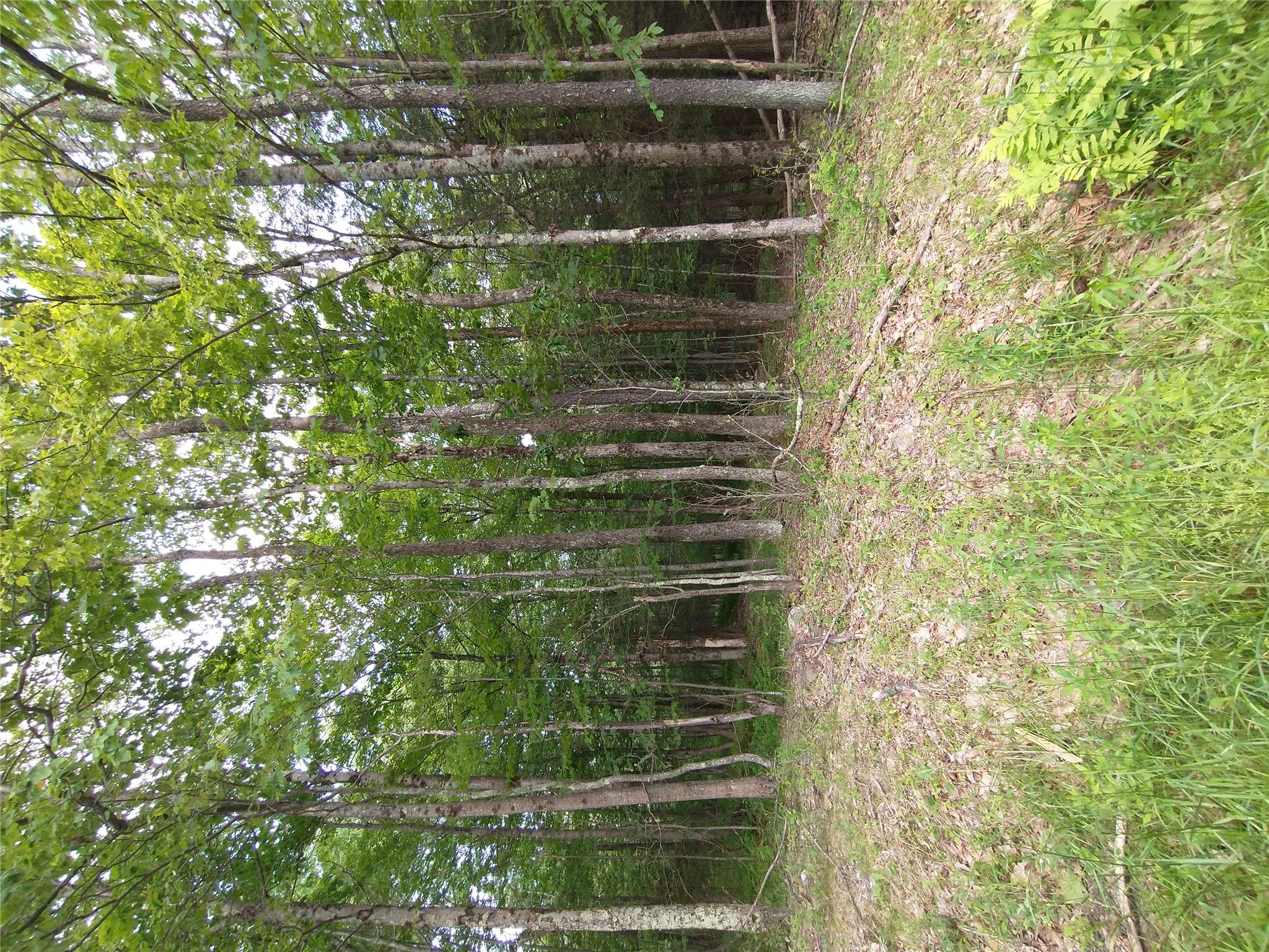 #10 photo, Old Loomis Road, Liberty , NY 12734