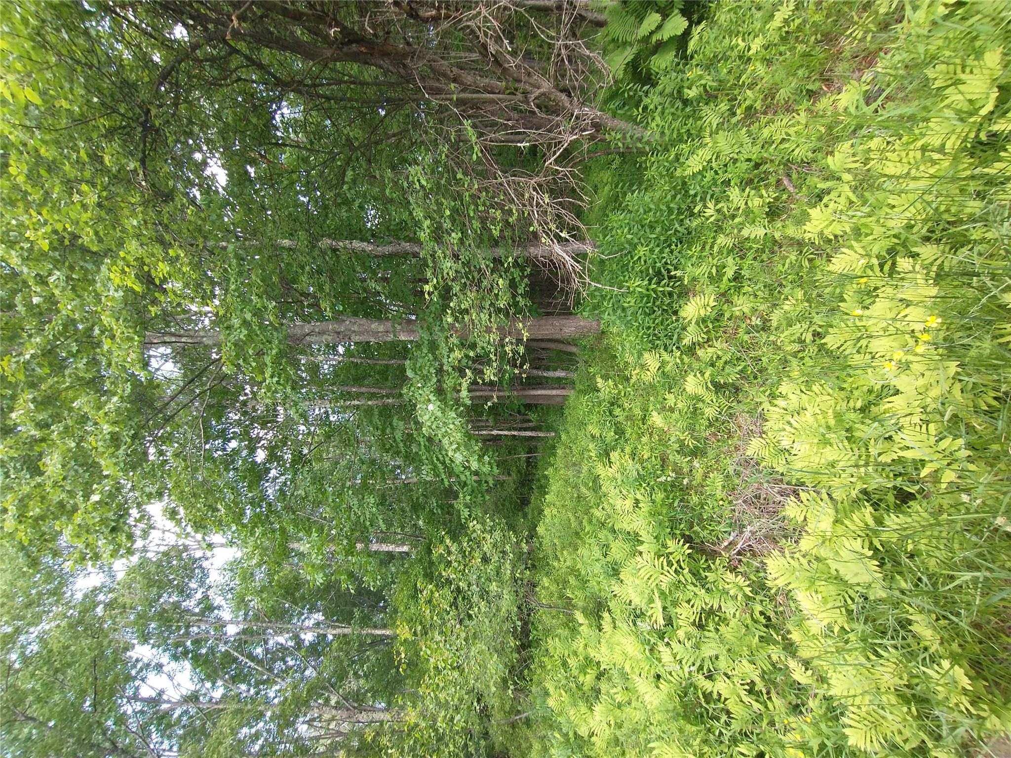 #11 photo, Old Loomis Road, Liberty , NY 12734