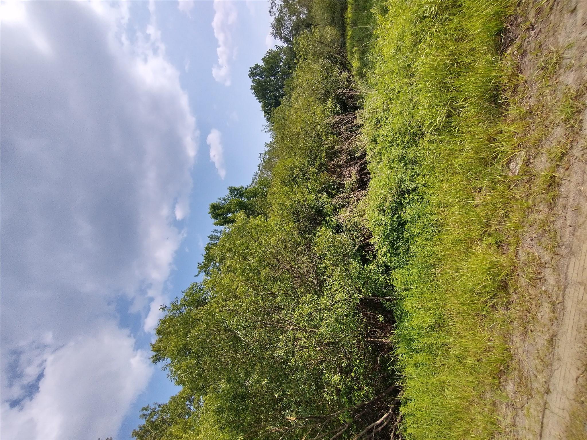 #14 photo, Old Loomis Road, Liberty , NY 12734