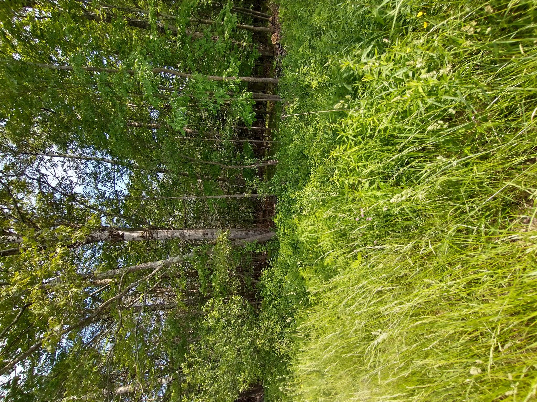 #15 photo, Old Loomis Road, Liberty , NY 12734