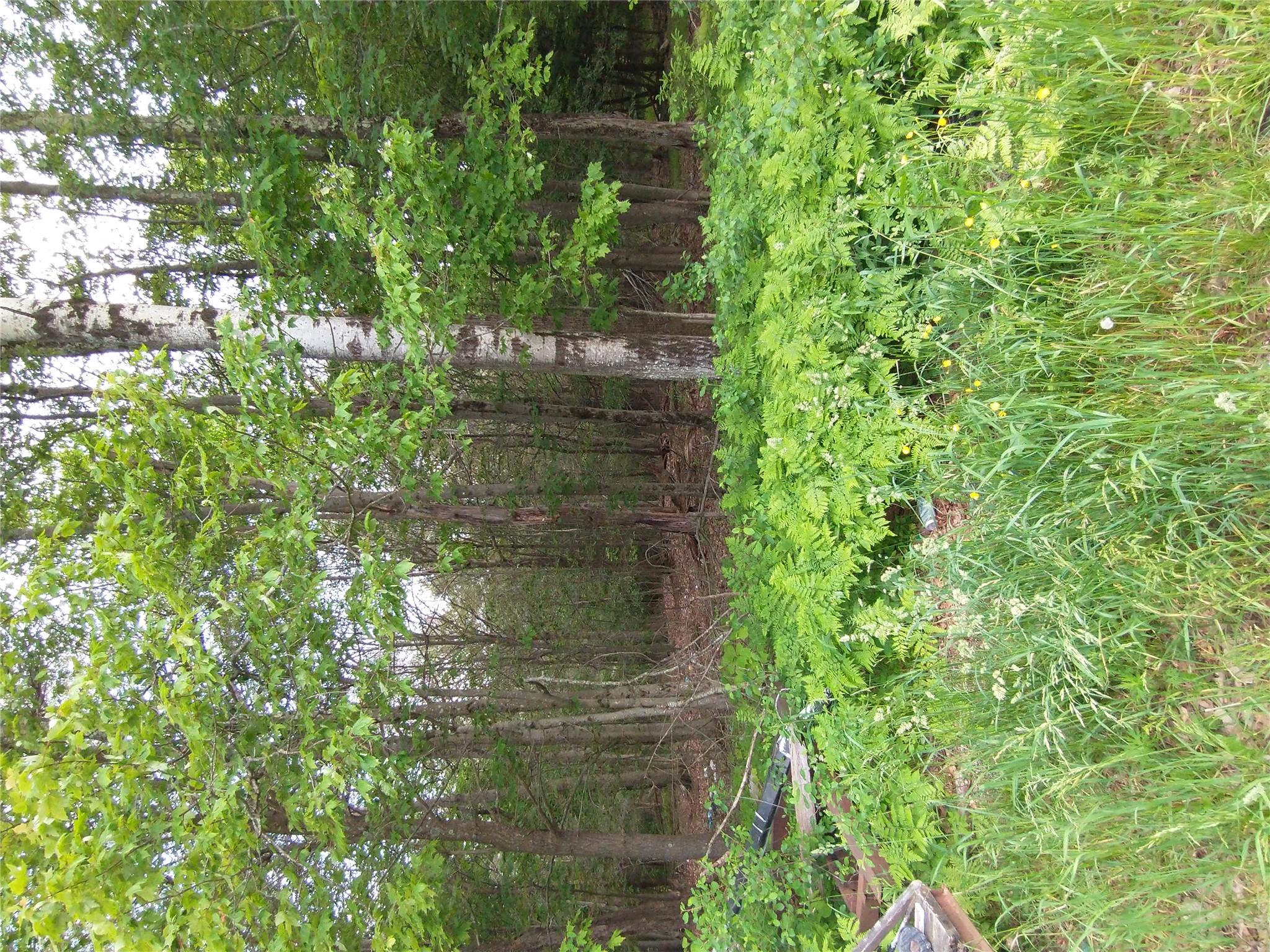 #16 photo, Old Loomis Road, Liberty , NY 12734