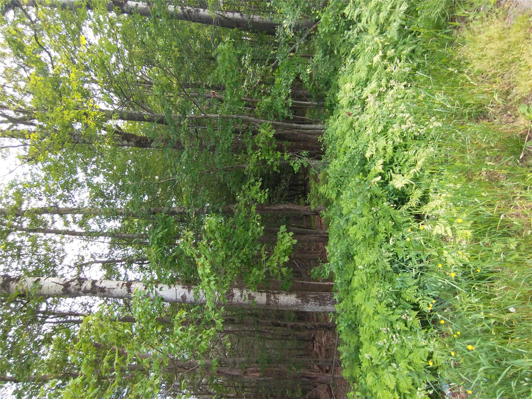 #17 photo, Old Loomis Road, Liberty , NY 12734