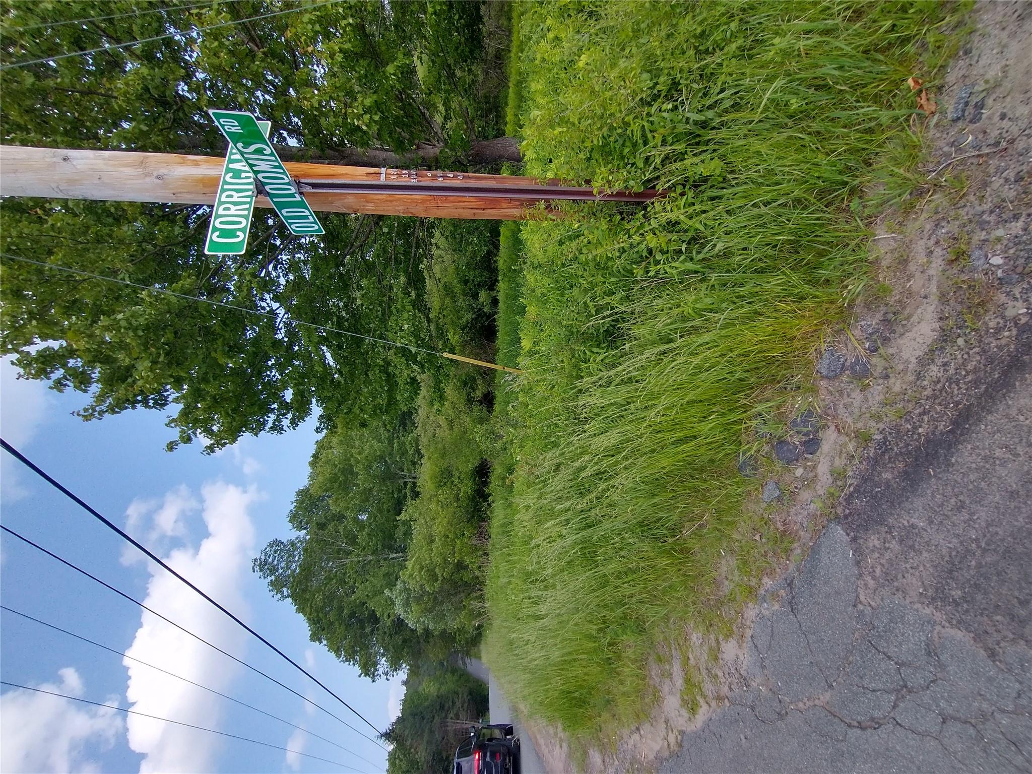 #2 photo, Old Loomis Road, Liberty , NY 12734