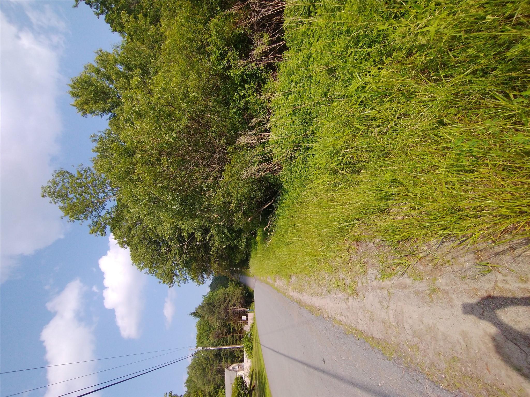 #4 photo, Old Loomis Road, Liberty , NY 12734