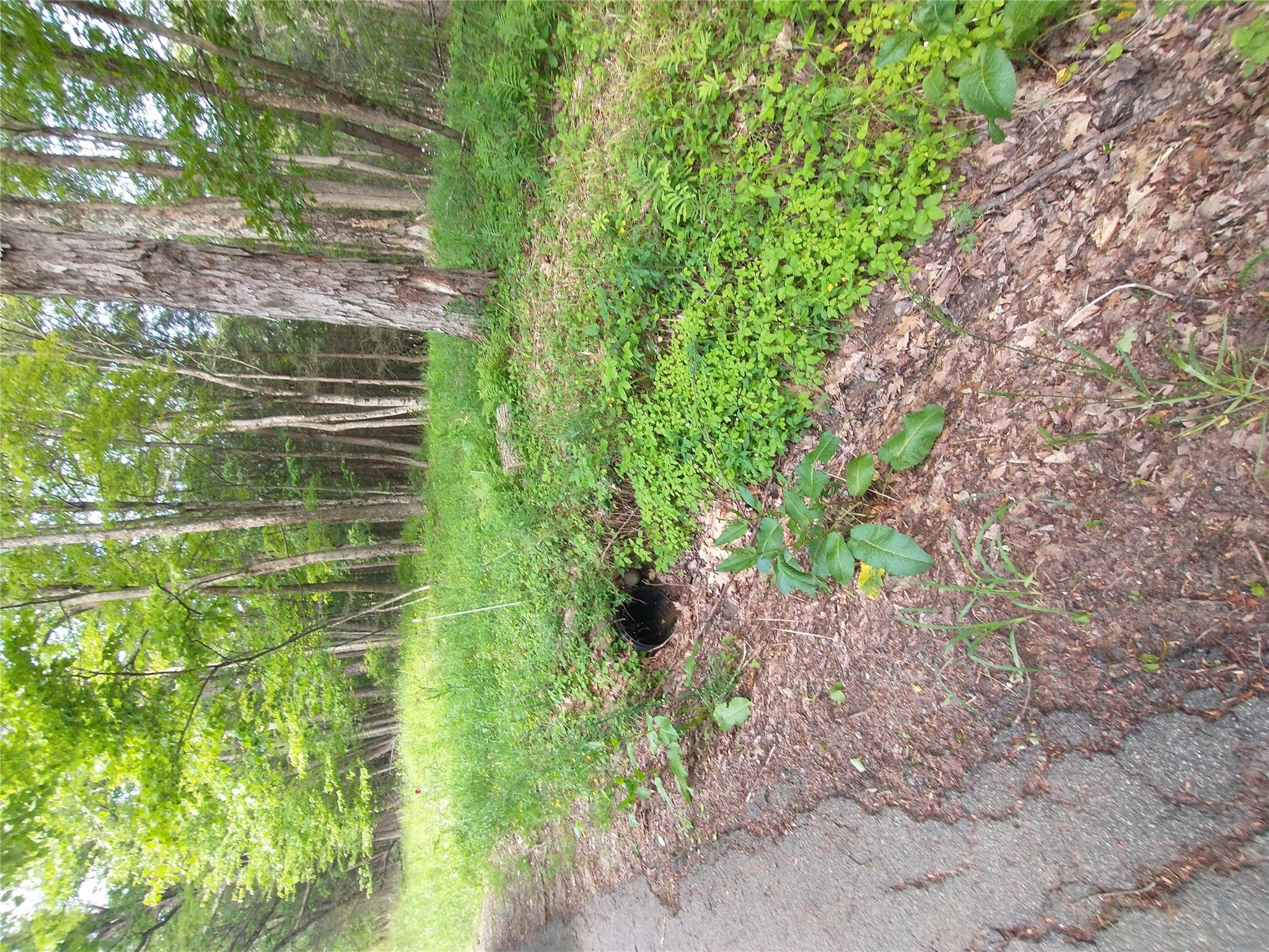 #5 photo, Old Loomis Road, Liberty , NY 12734