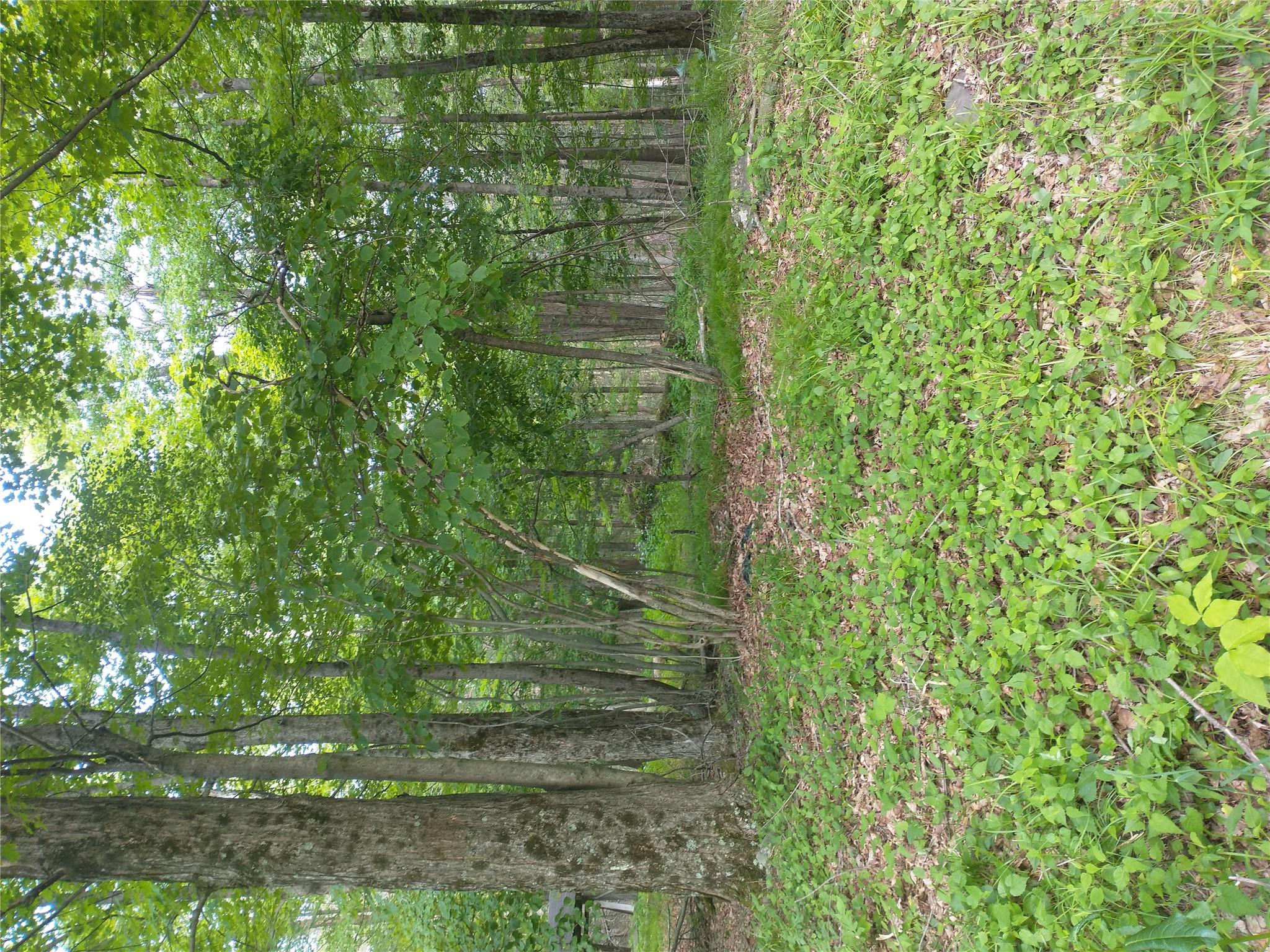 #6 photo, Old Loomis Road, Liberty , NY 12734