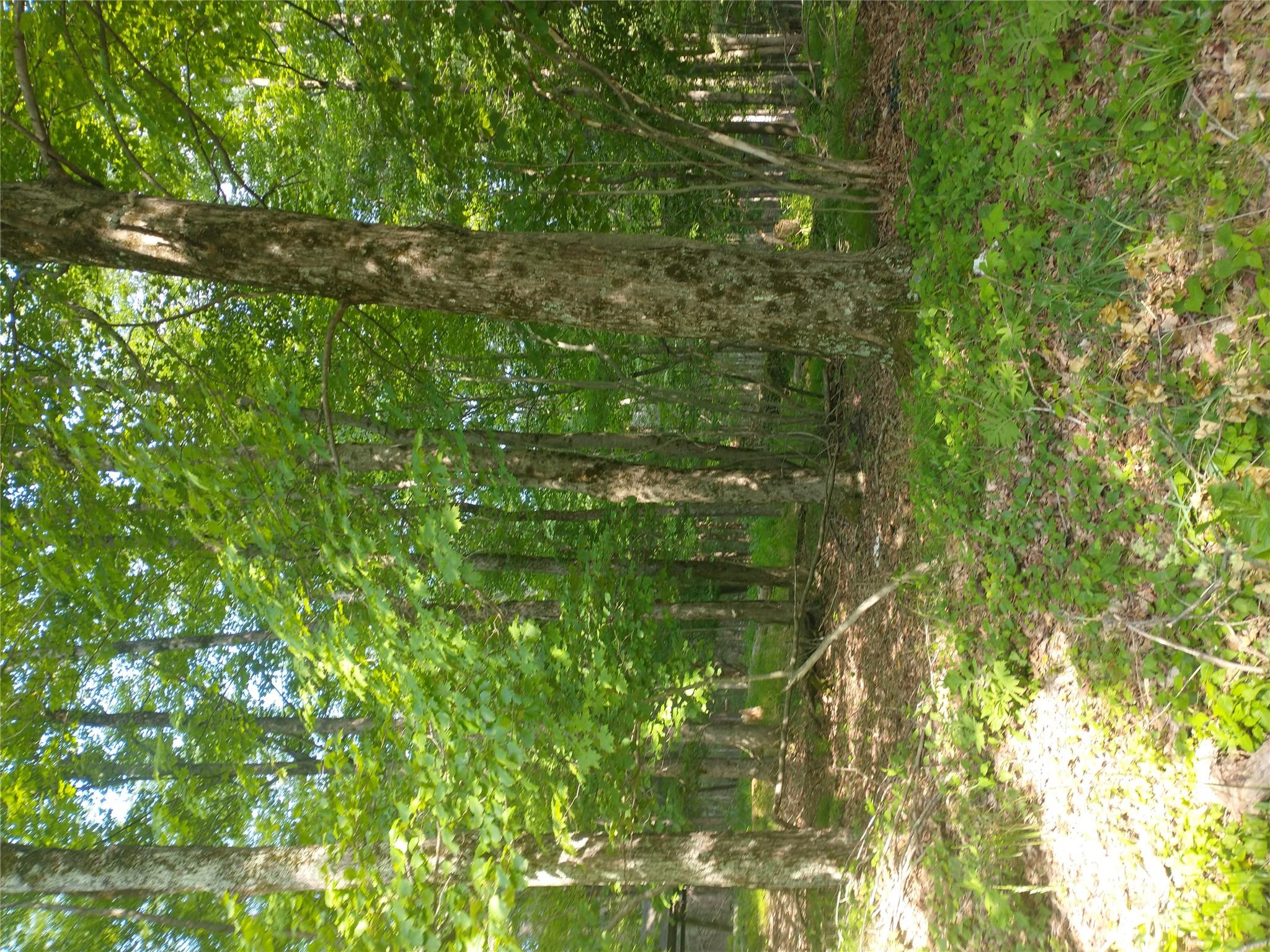 #7 photo, Old Loomis Road, Liberty , NY 12734