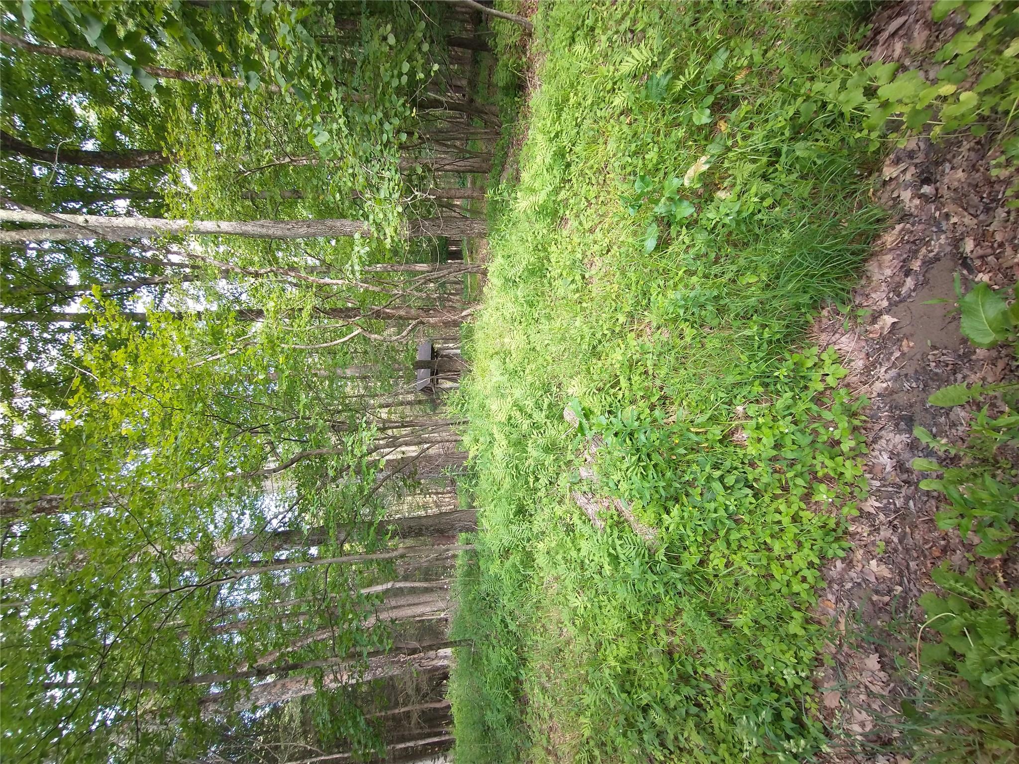 #8 photo, Old Loomis Road, Liberty , NY 12734