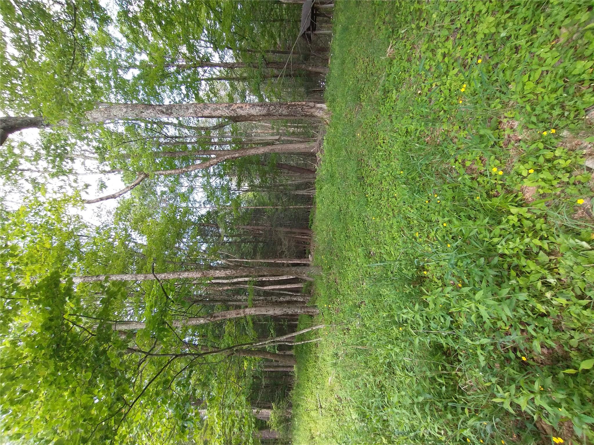 #9 photo, Old Loomis Road, Liberty , NY 12734